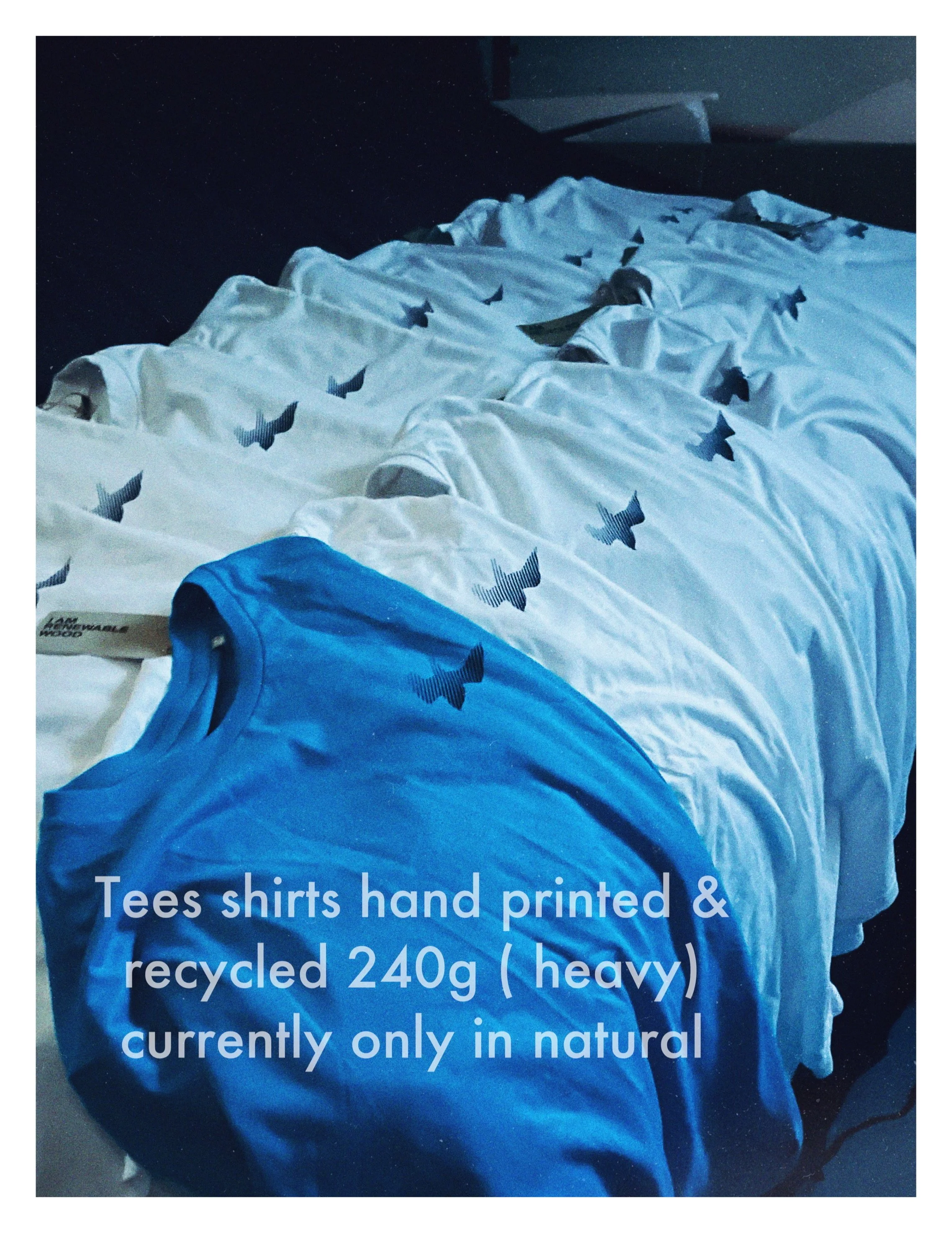 AfterlightImage 3.JPG