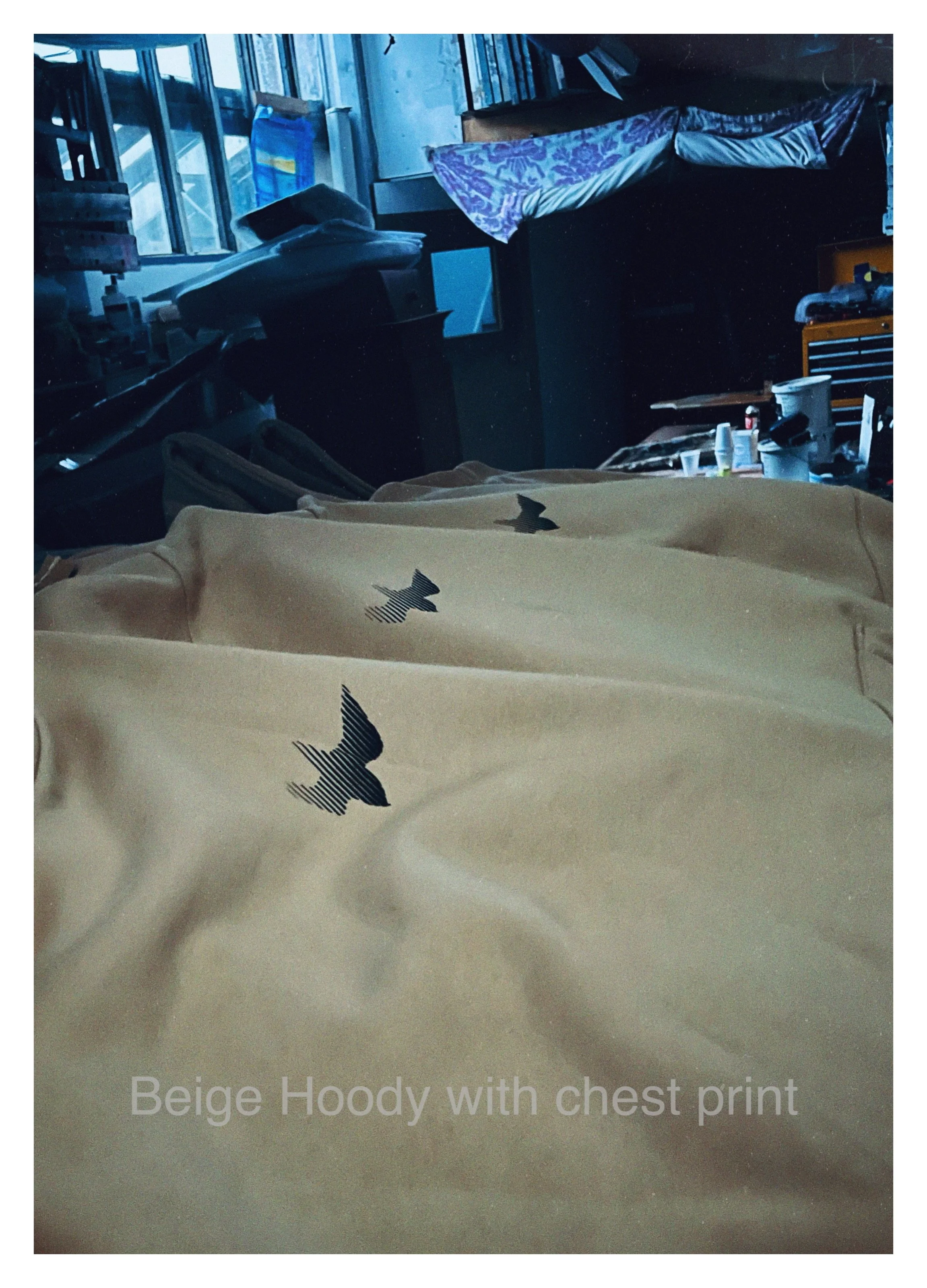 AfterlightImage 4 copy.JPG