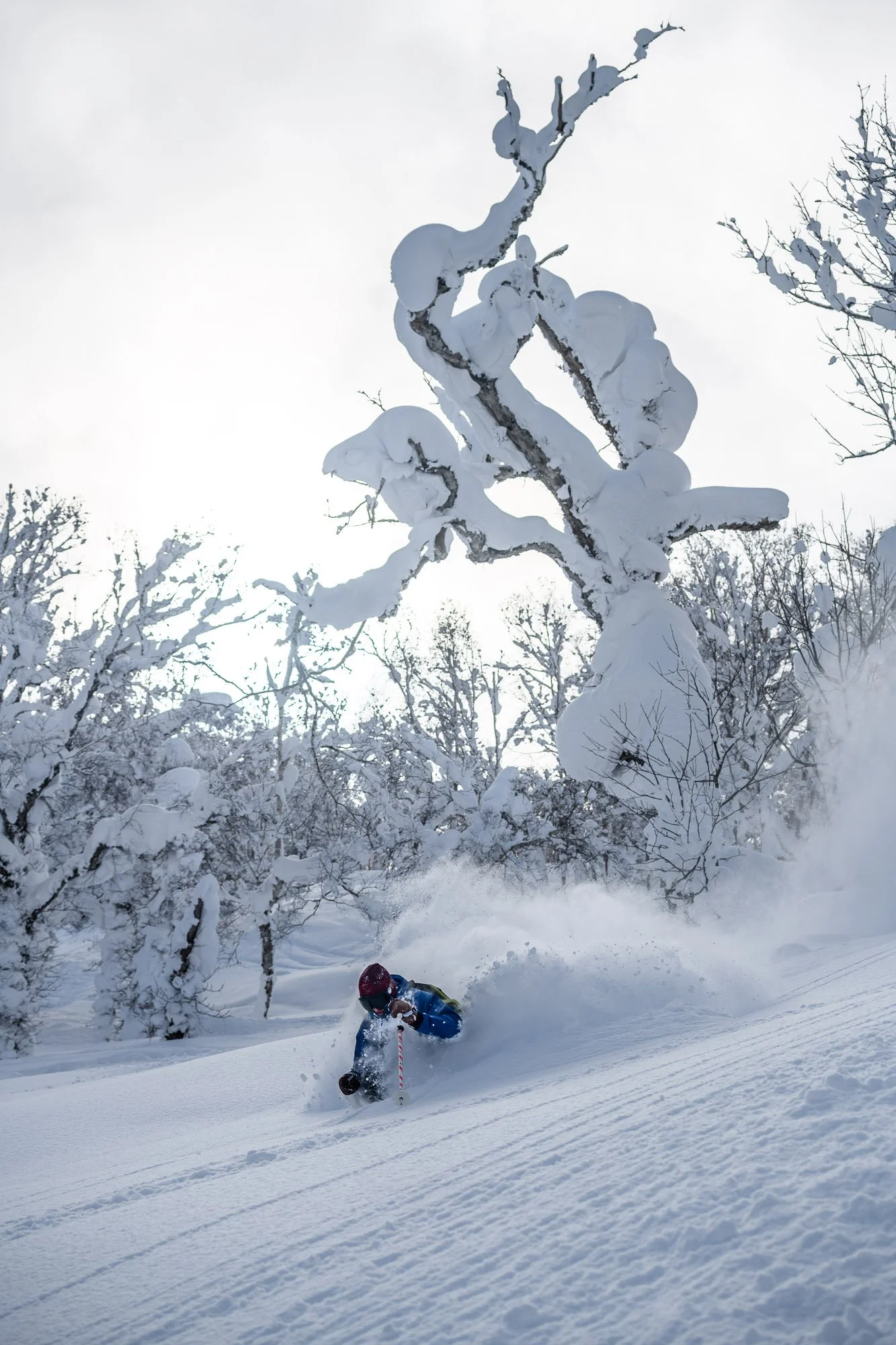 190211_Rusutsu_8501693 2.JPG