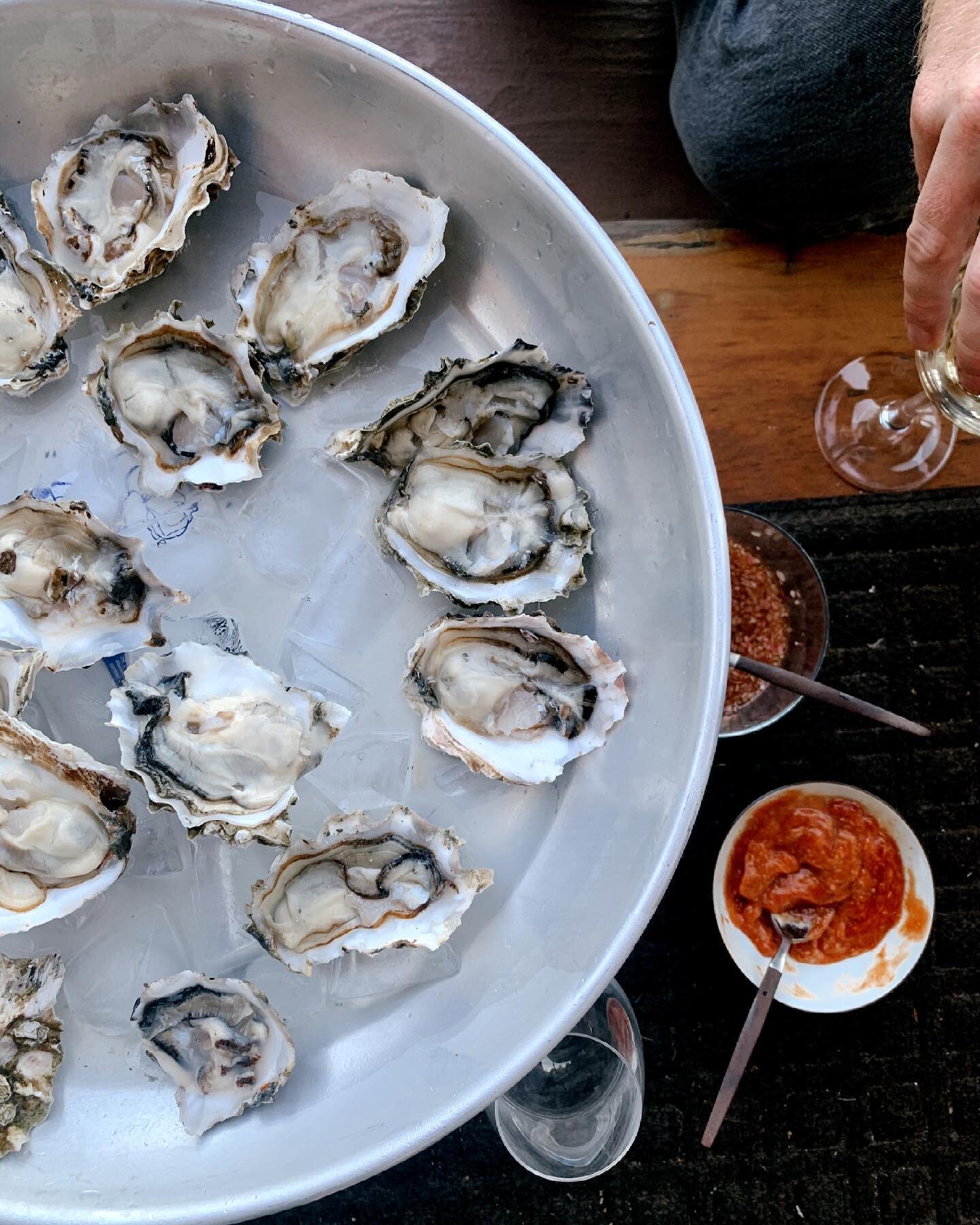 There&rsquo;s a lot to catch up on, but let&rsquo;s skip all that and have some oysters.

The oyster is a perfect symbol for discovery, danger, allure, and transformation of something difficult into something beautiful (the pearl). &hearts;️ After a 