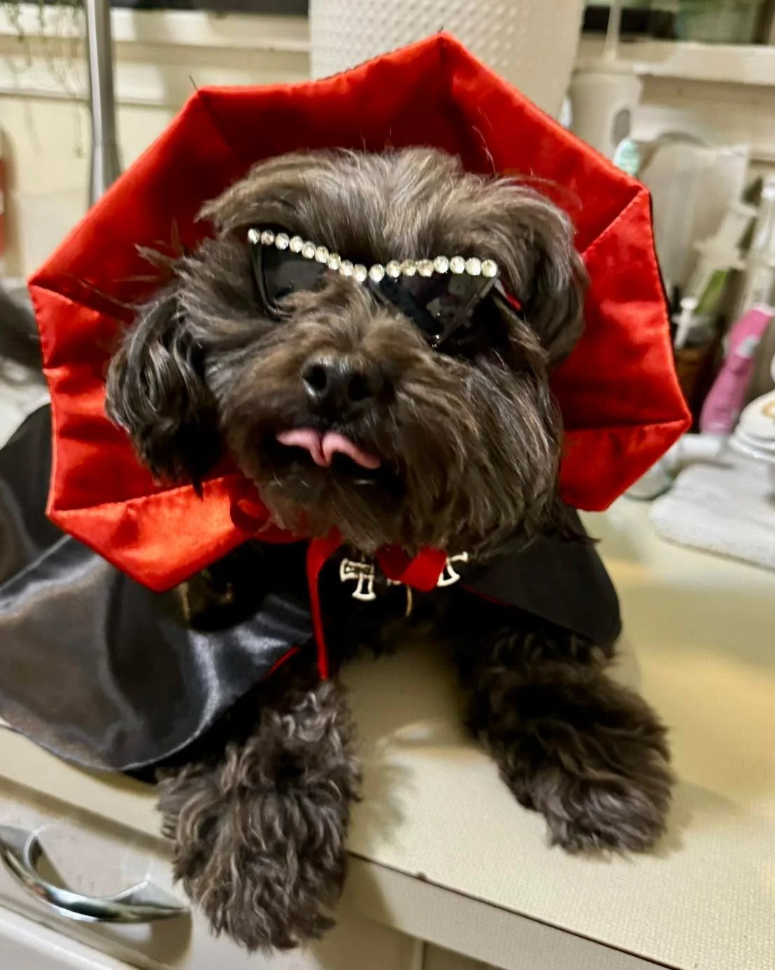 👻HAPPY HALLOWEEN 🎃 
Let&rsquo;s see your little gremlins &amp; princesses in their costumes!!!