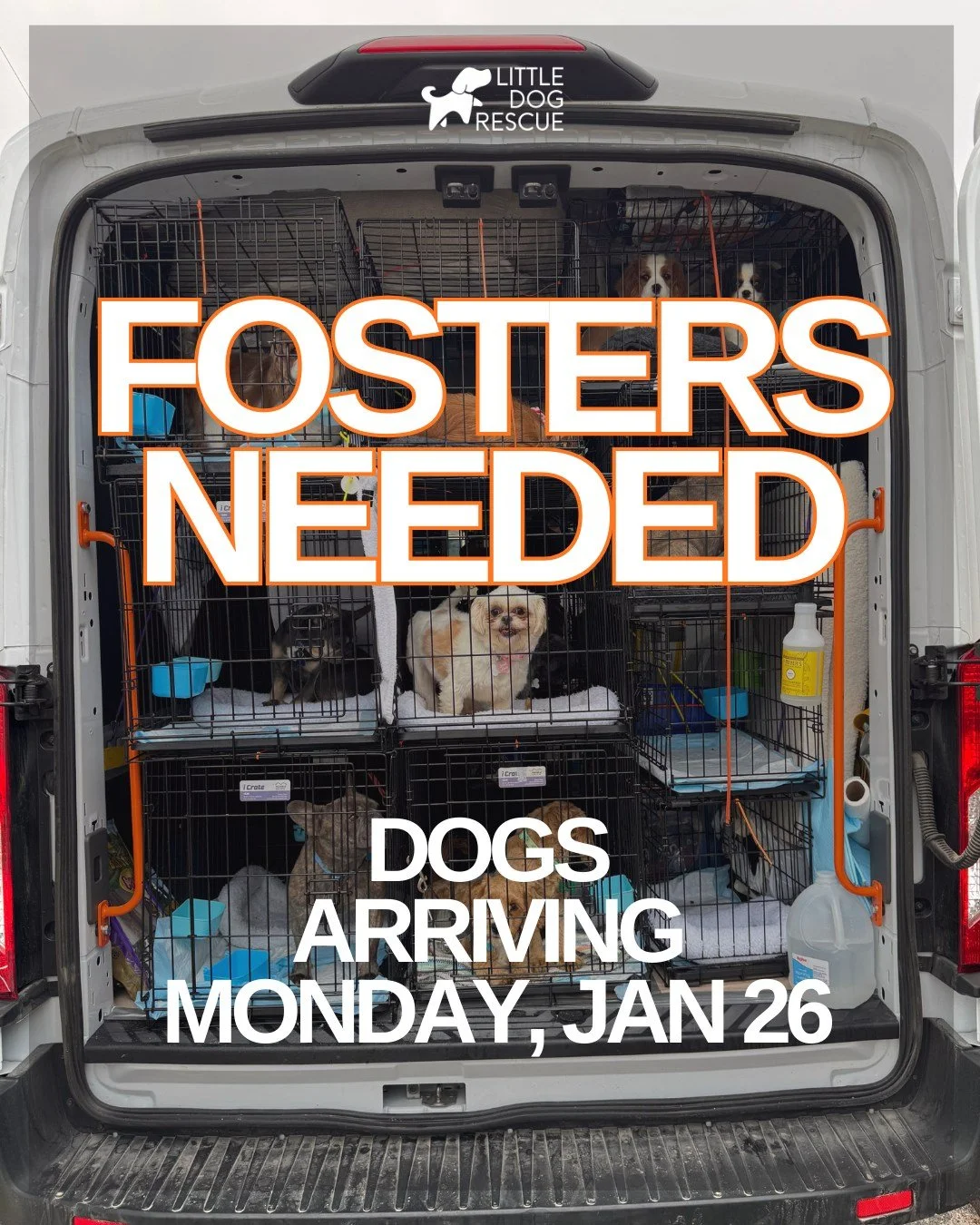🚨FOSTERS NEEDED&hellip;..SEATTLE/TACOMA 🚨

ADULT DOGS:
Yorkie - 6yr - 2M  1F 

PUPPIES (10-12W):
Malshi - 1M 2FM
HaviShi - 1M 2F
Havanese - 2M 1F
Havanese - 4M 4F
Pekinese - 1F
Shih Tzu - 3M 3F
Golden Retriever - 1M

Arriving on Monday, Jan 26th at