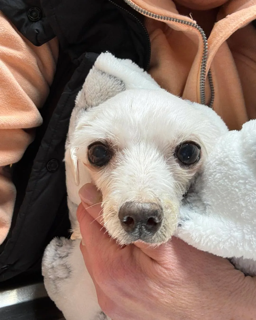 Rest Easy Sweet Girl You are loved ❤️