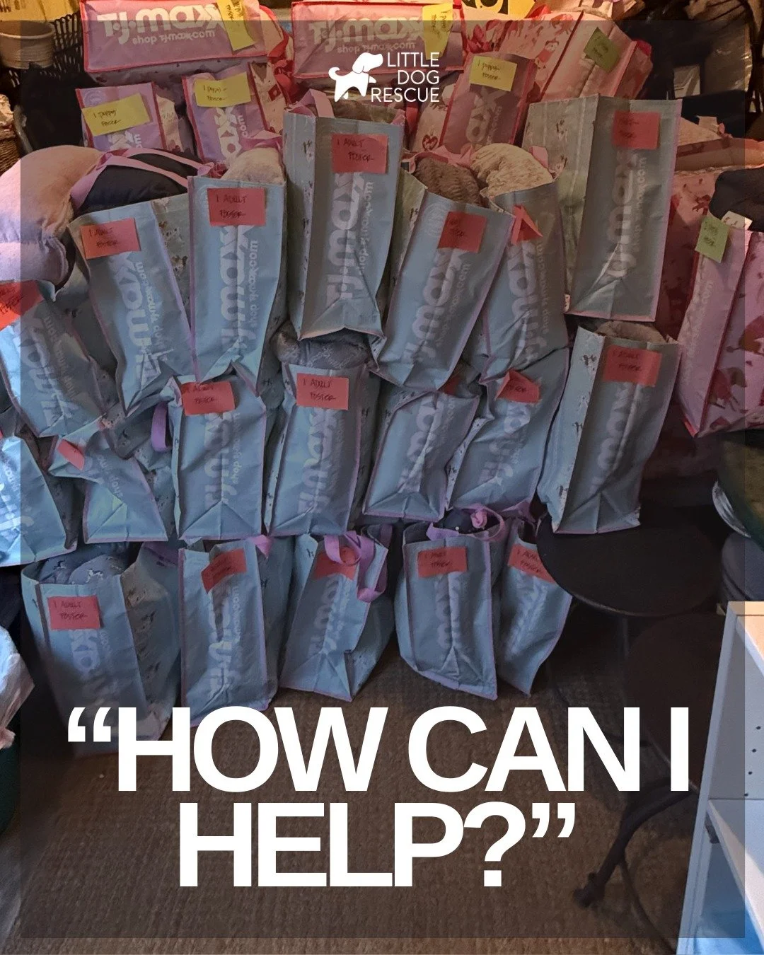 If you&rsquo;ve ever asked, &ldquo;How can I help?&rdquo; &mdash; here's a easy one. Even one small item from our Amazon Wishlist makes a difference for a dog who&rsquo;s starting over.

We&rsquo;re always need of supplies to keep our foster dogs com