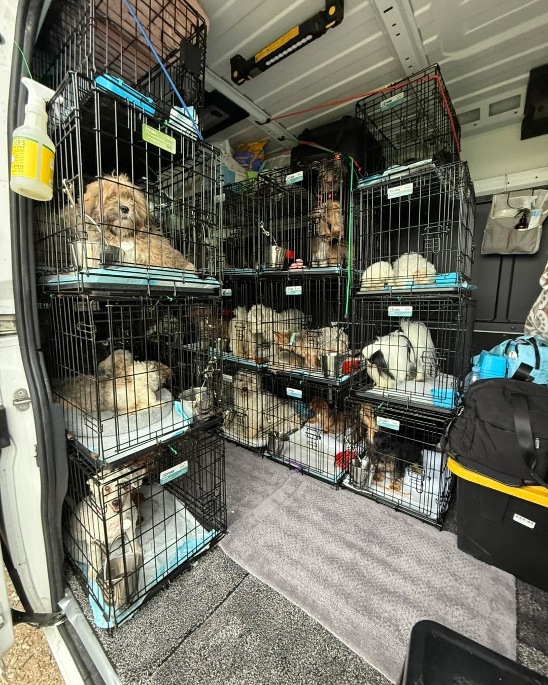 🚑🚨⏰ INCOMING HELP NEEDED⏰🚨🚑

After a busy 2 days of driving all over the mid-west rescuing dogs we are absolutely loaded down with double the number of dogs we anticipated.  We couldn&rsquo;t leave any of these babies behind so we are headed west