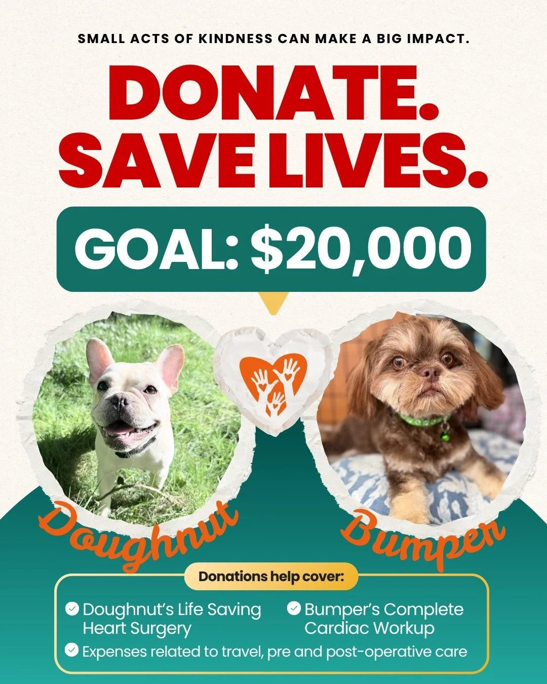 Meet Doughnut and Bumper.

These two boys have stolen every heart in our rescue. Now, we're fighting to save theirs. 💔

Doughnut and Bumper are both facing serious congenital heart conditions.  Without these life-saving surgeries, these sweet pups a