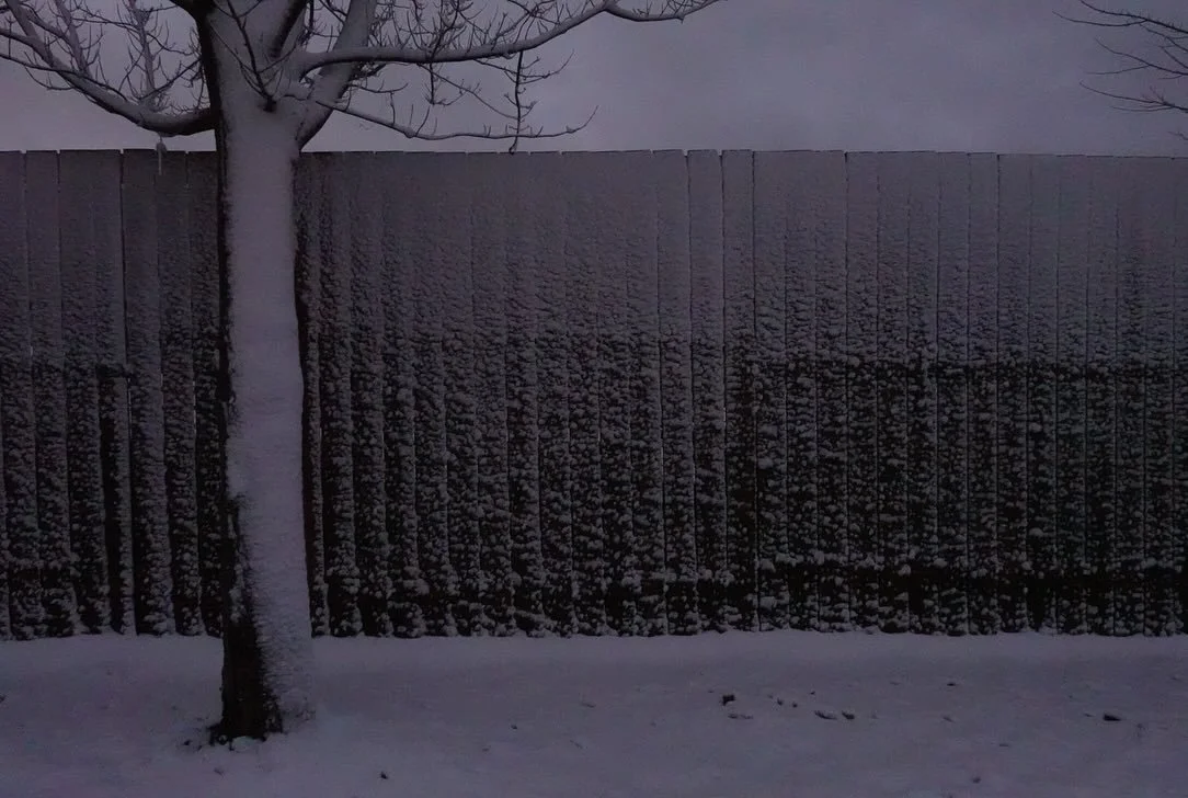 A monochrome sort of day. Reflects my mood. 
#firstsnowfall