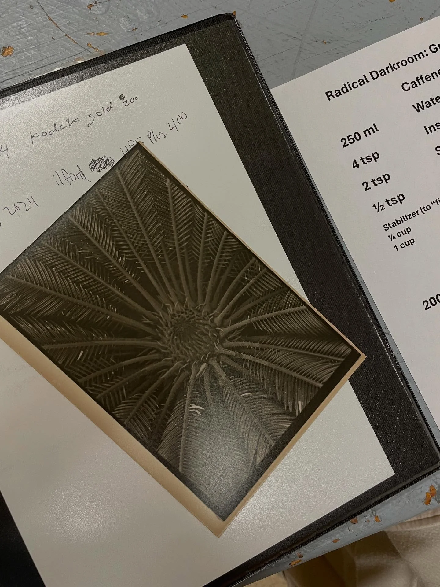 It was so energizing to be in a darkroom buzzing with activity! (I&rsquo;m sure it had nothing to do with buzzing on caffeine fumes from the caffenol developer, right?) such fun, such creativity, such a need for more of these  sessions! In the @latow