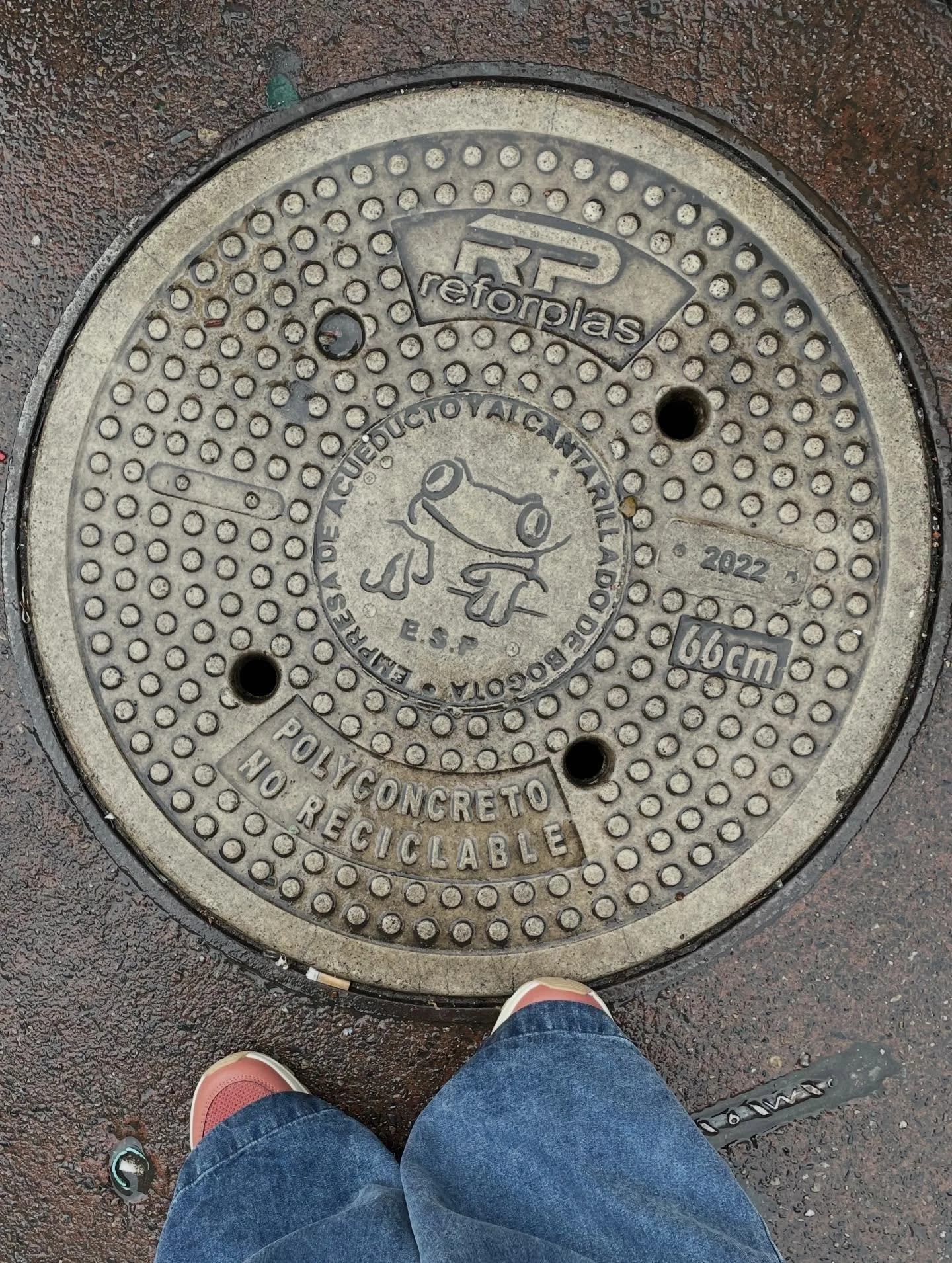Under my feet and in front of my eyes in Bogota. Frogs (logo of the water utility), original floorboards from URosario (anno 1635), and Heated Rivalry in Spanish.