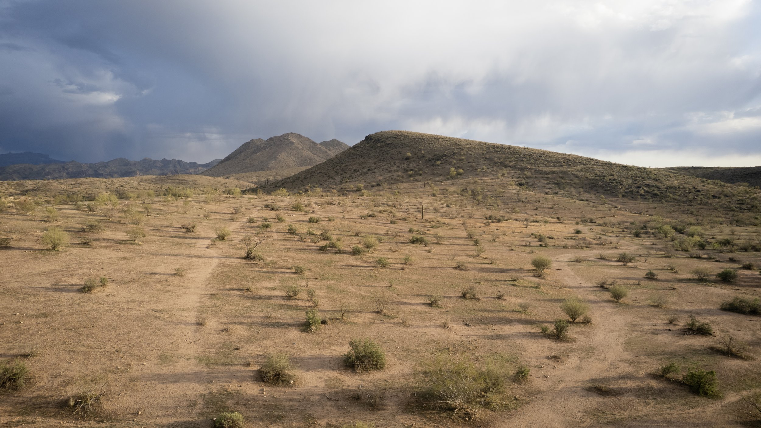 Cold Desert