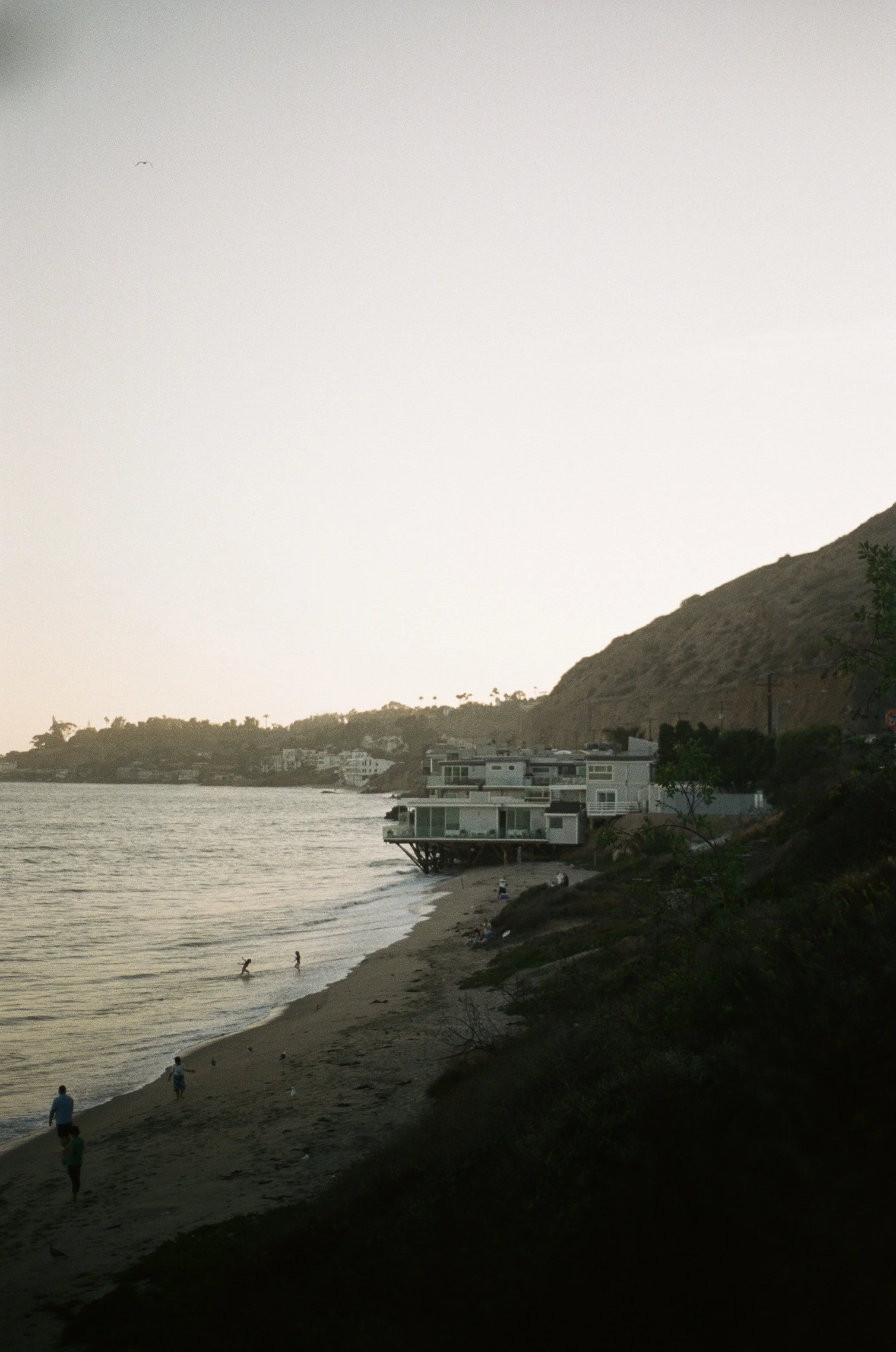 IMG_3396.jpg