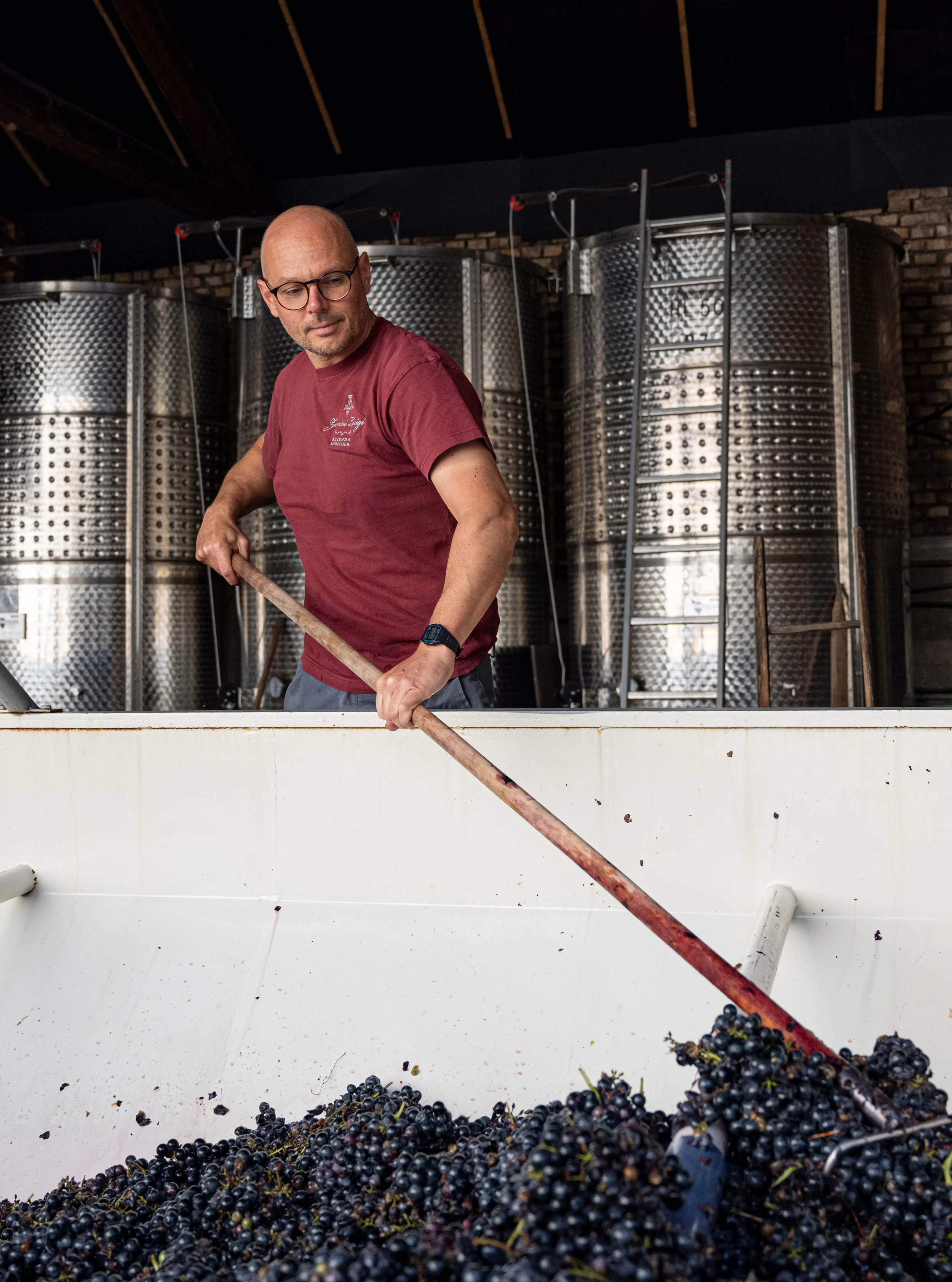 Chi siamo — Cantina Zanini Luigi