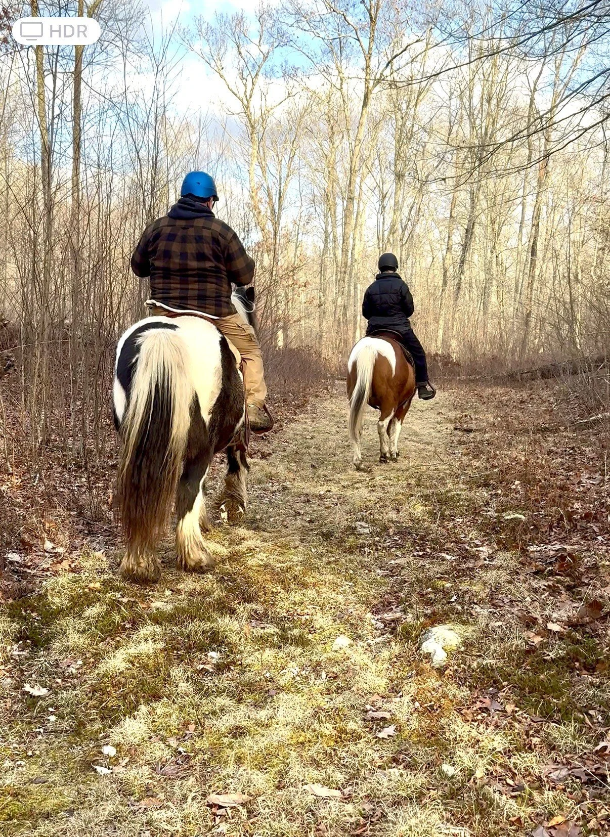 Two people riding horses on a wooded trail in early spring or late fall with bare trees and a partly cloudy sky