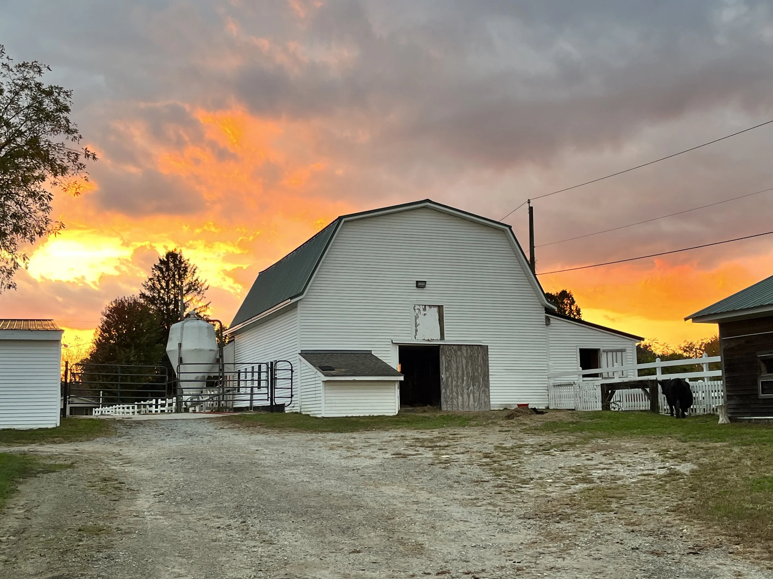 A farm barn during sunset with a vibrant orange and pink sky, surrounded by trees and farm buildings.