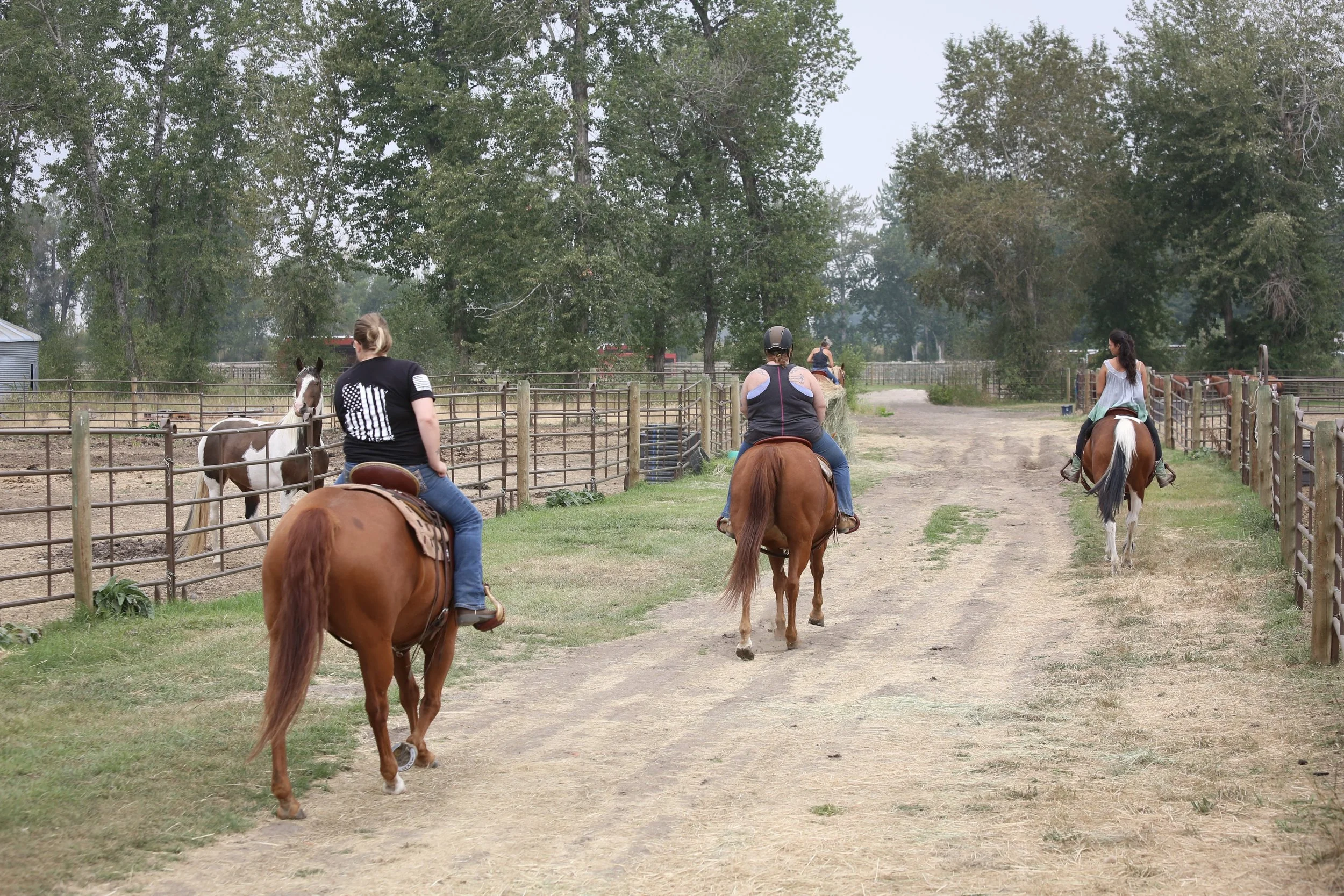 Three people riding horses down a dirt path at a pony ride or ranch, with a fenced-in pasture and a foal on the left.