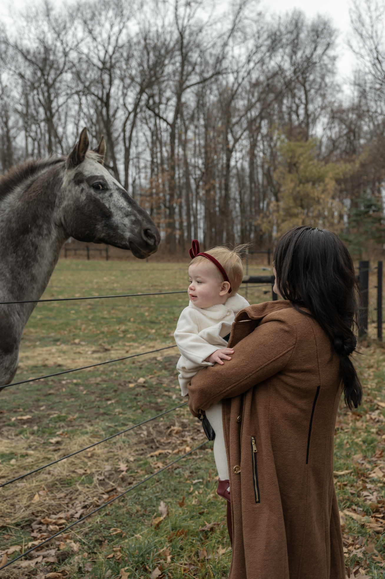 A woman holding a young girl in front of a fenced pasture with a gray horse, trees, and fallen leaves in the background on a cloudy day.