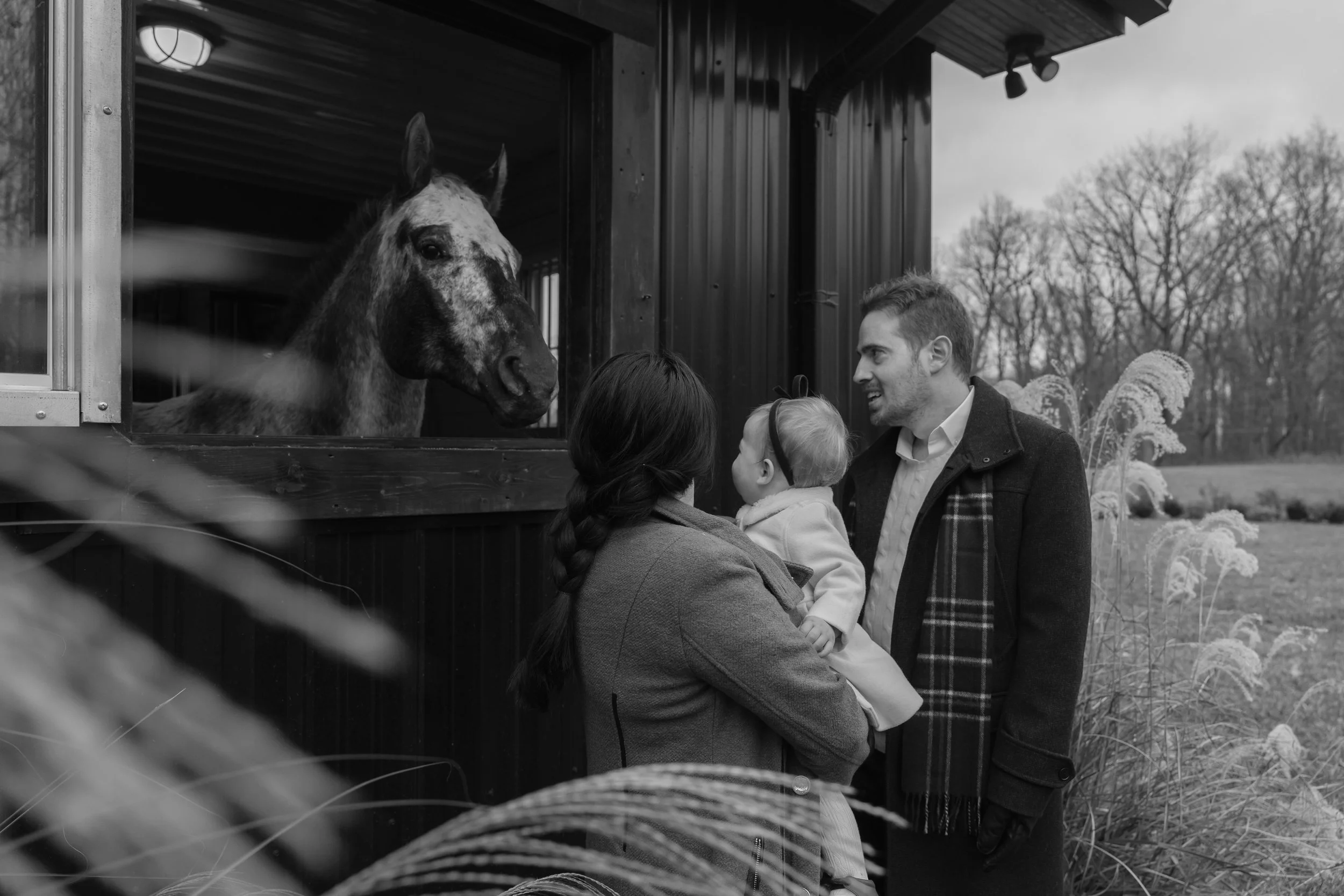 A family, consisting of a woman, a man, and a child, standing outside a horse stable interacting with a horse that is looking out from the stable window. The setting features bare trees and a cloudy sky in the background, indicating an outdoor rural 