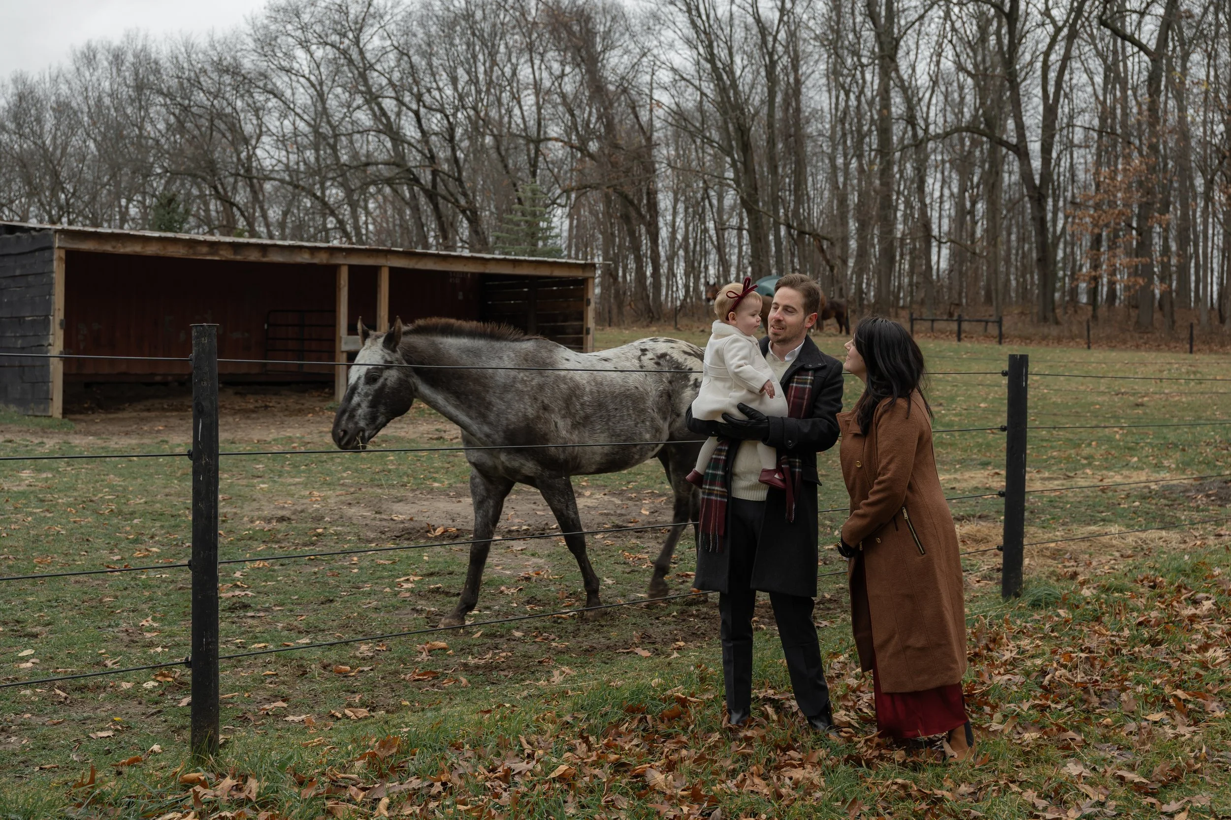 A family of three, including a man, woman, and a young girl, standing by a fence at a horse farm. The man is holding a dapple gray horse, and the woman is looking at the girl. They are outdoors in an autumn setting with leafless trees and fallen leav