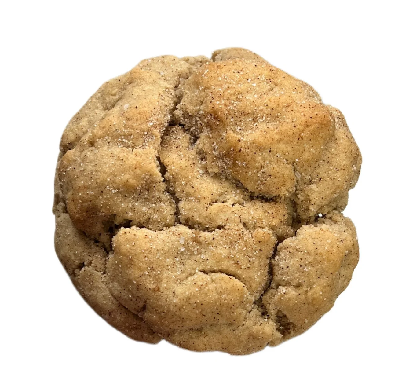 Snickerdoodle Cookie