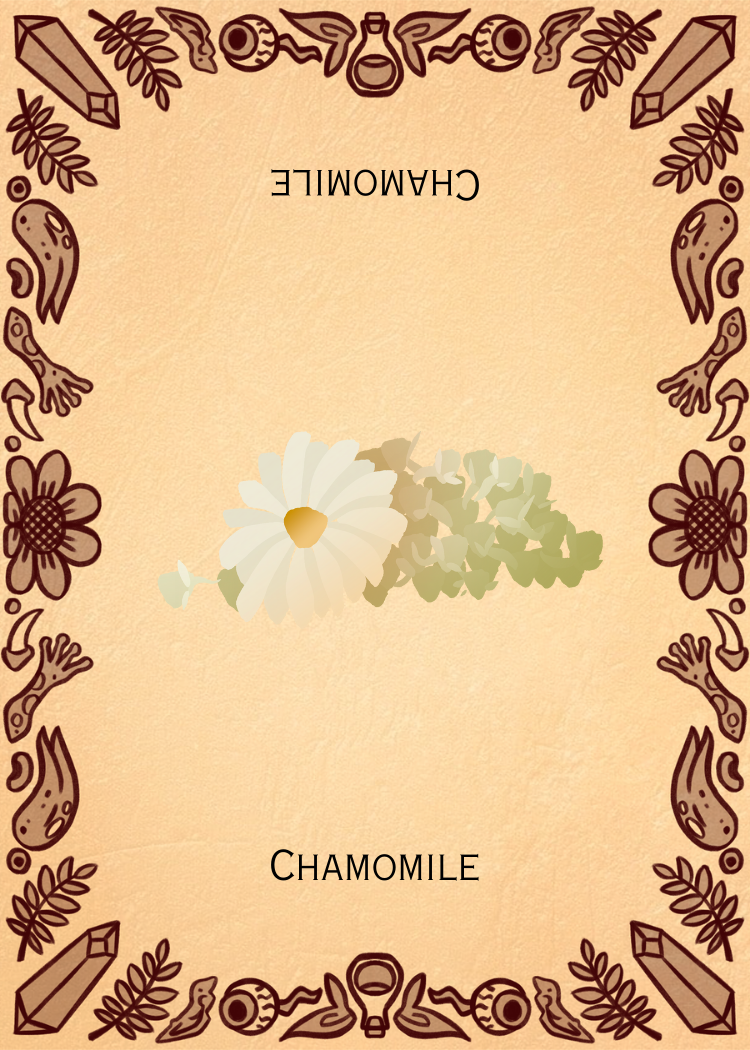 I Chamomile.png