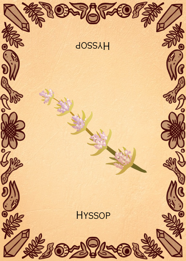 I Hyssop.png