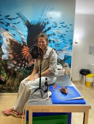 A woman in diving gear kneeling on a rocky beach, smiling next to a starfish and a small aquarium or container with sea creatures, with the ocean and a dock in the background.