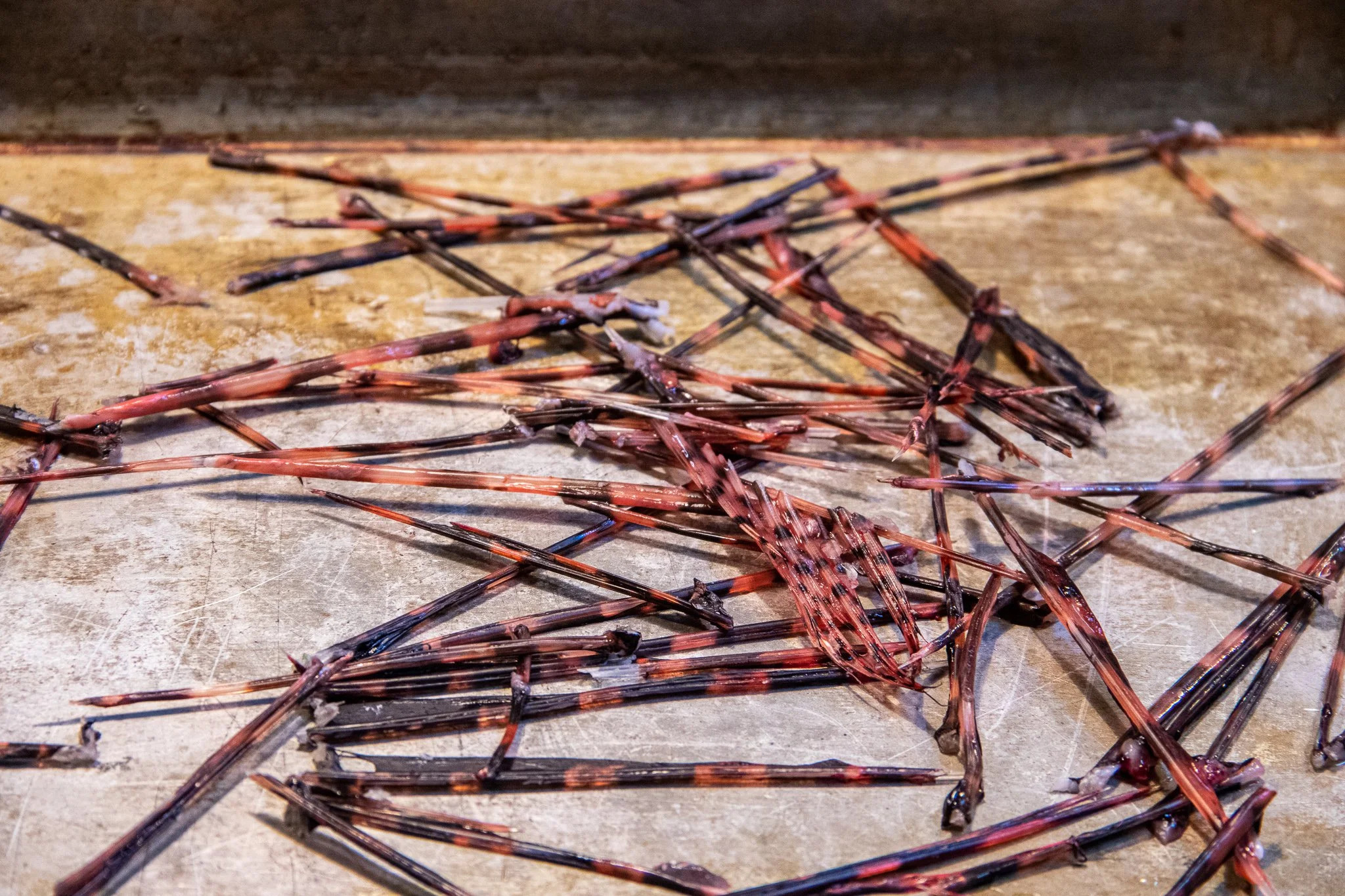 Close-up of scattered burnt matches on a surface.