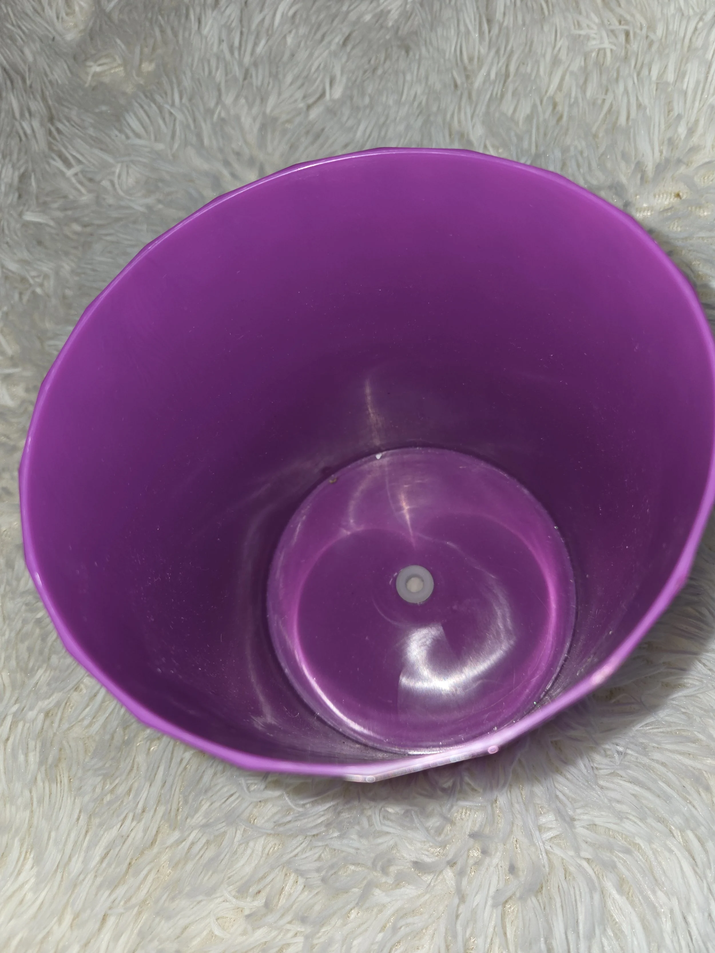 1000006446.jpg