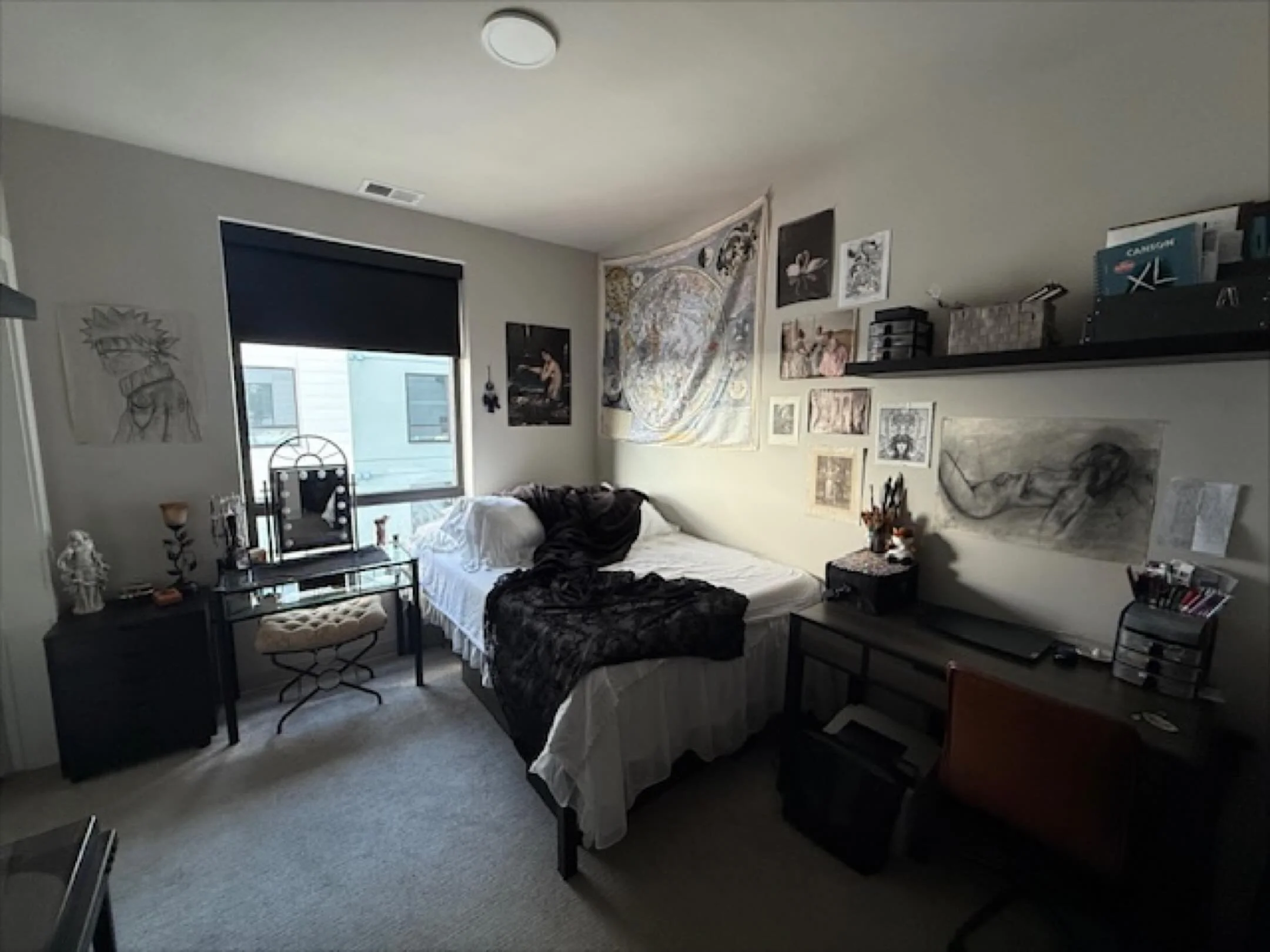 Room decor contestant #3!