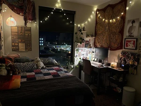 Room decor contestant #1!