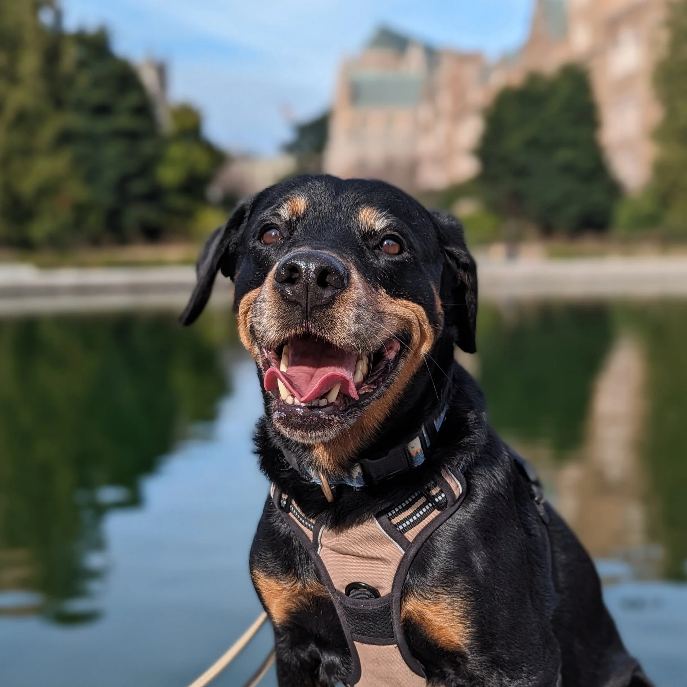 Telehealth online video therapy offered throughout Washington State.