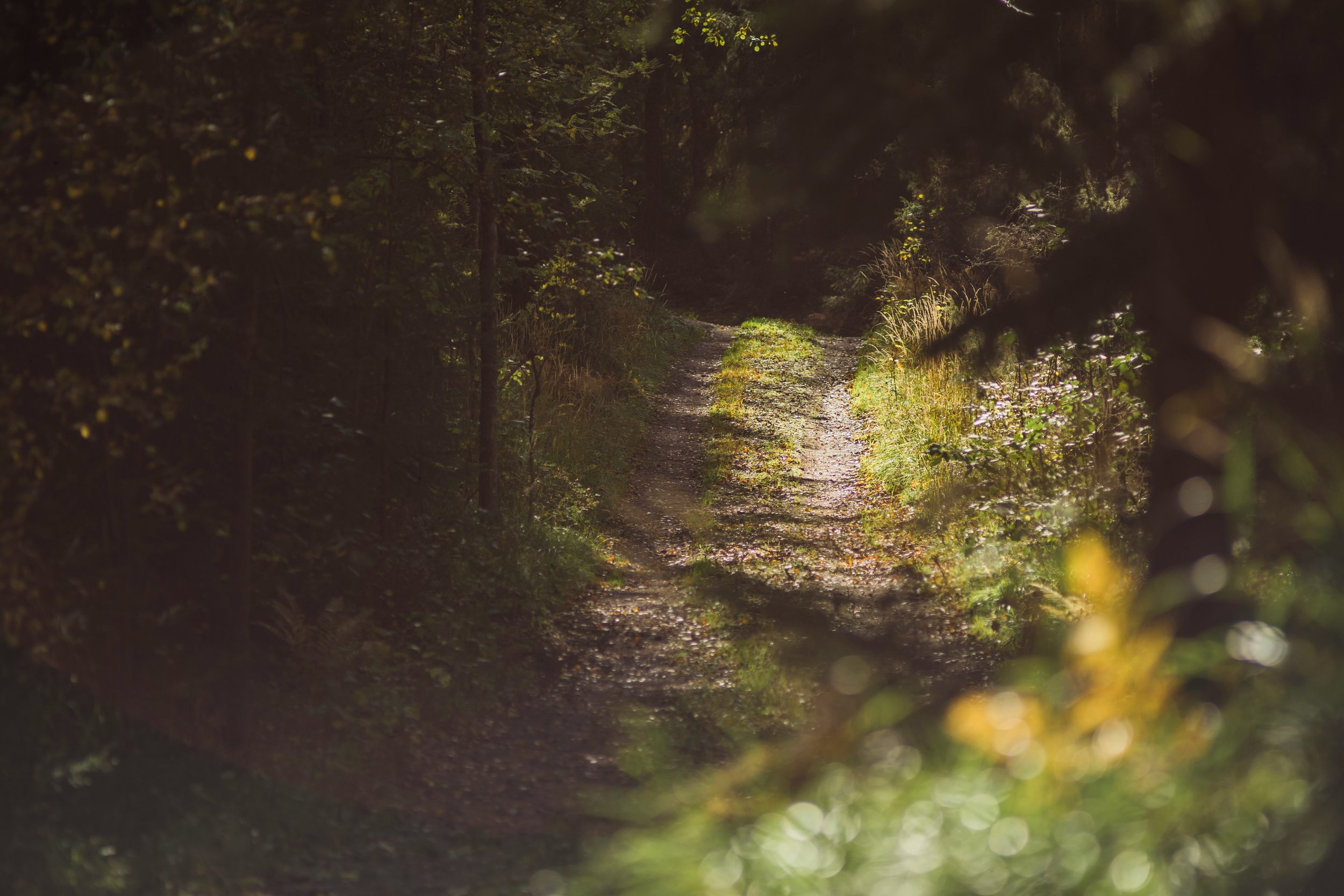 human centered approaches to adult adhd assessment and therapy for help and support with executive function, memory, relationship issues, anxiety and depression.