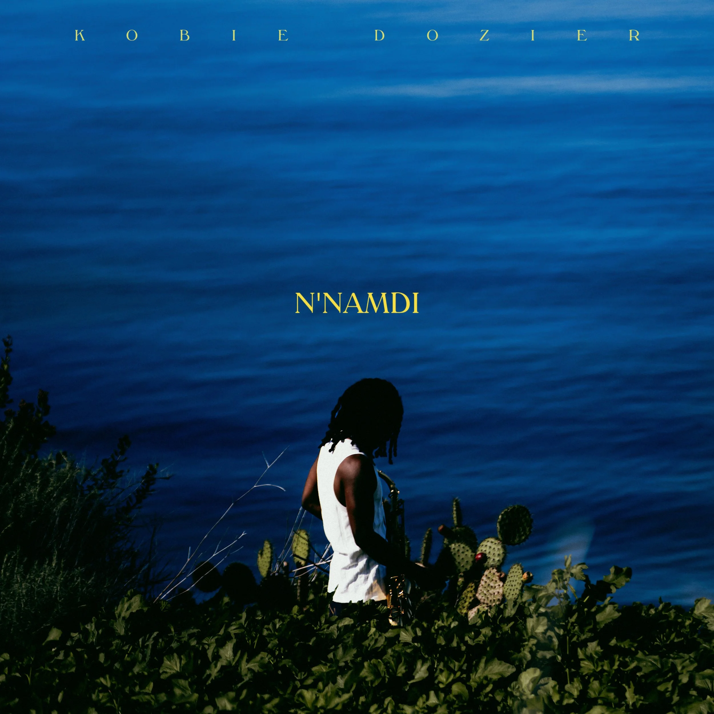 N'namdi Album CD
