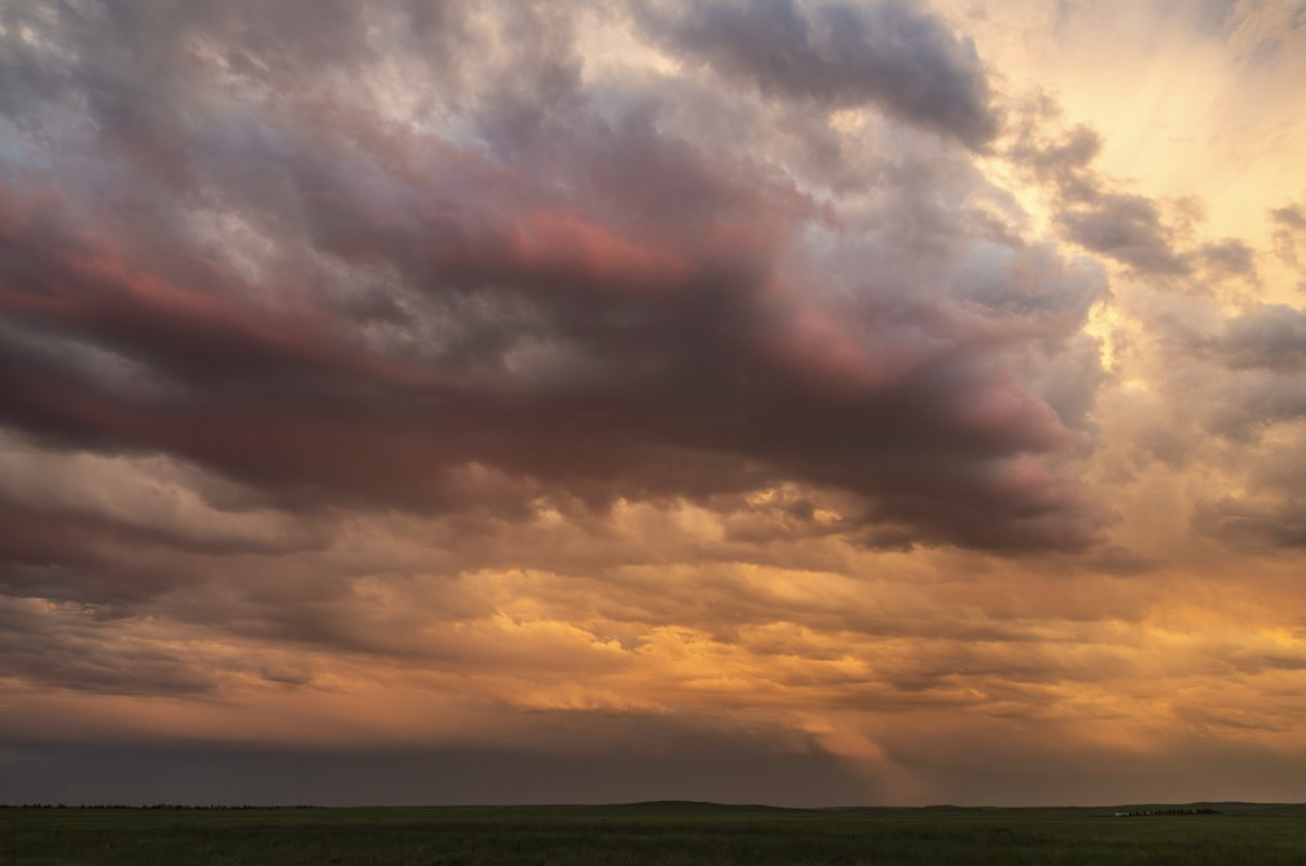 Screenshot 2026-02-18 at 9.43.38 AM.png