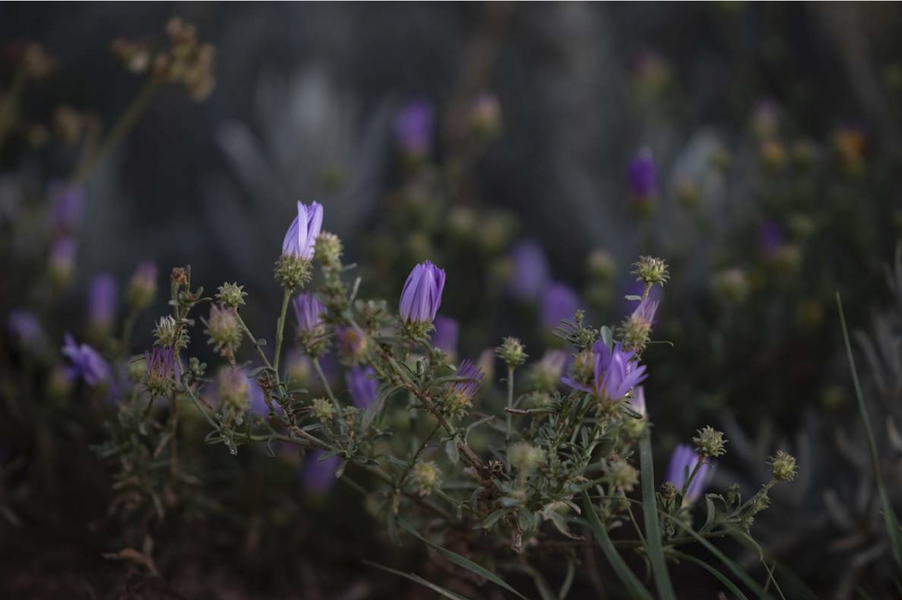 Screenshot 2026-02-18 at 9.43.51 AM.png