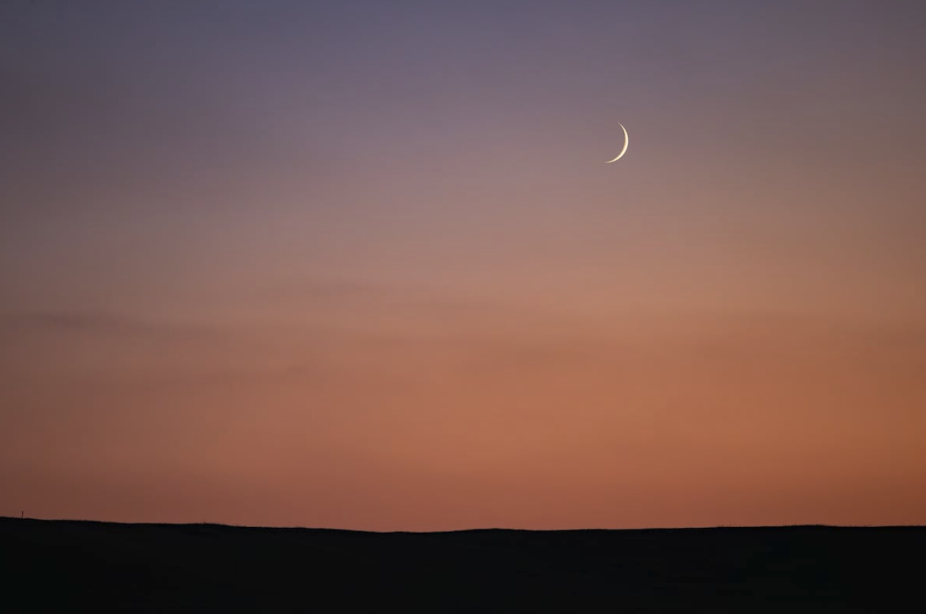 Screenshot 2026-02-18 at 9.44.08 AM.png