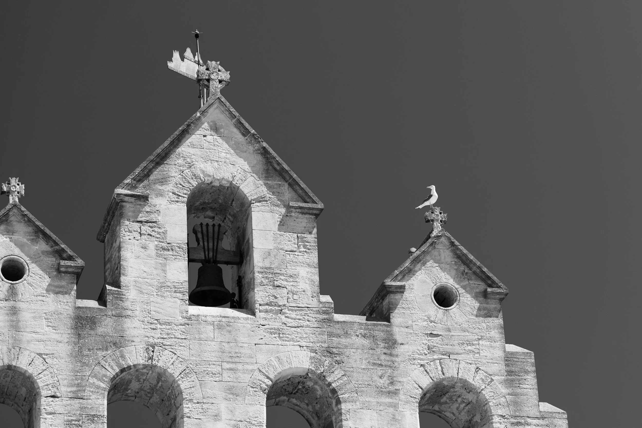 CF0A0195.jpg