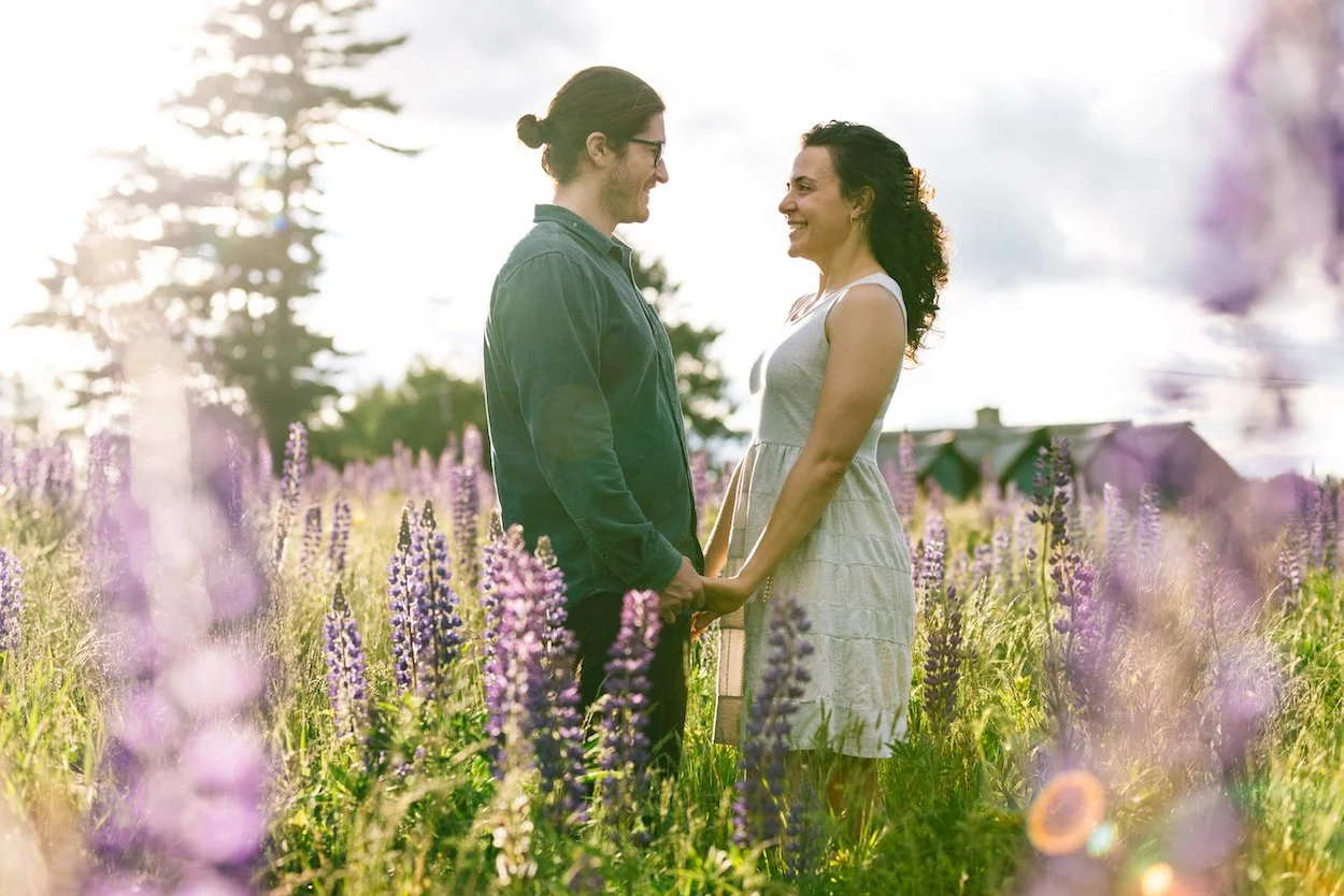 Lupine Field Engagement Session in Bethlehem, New Hampshire