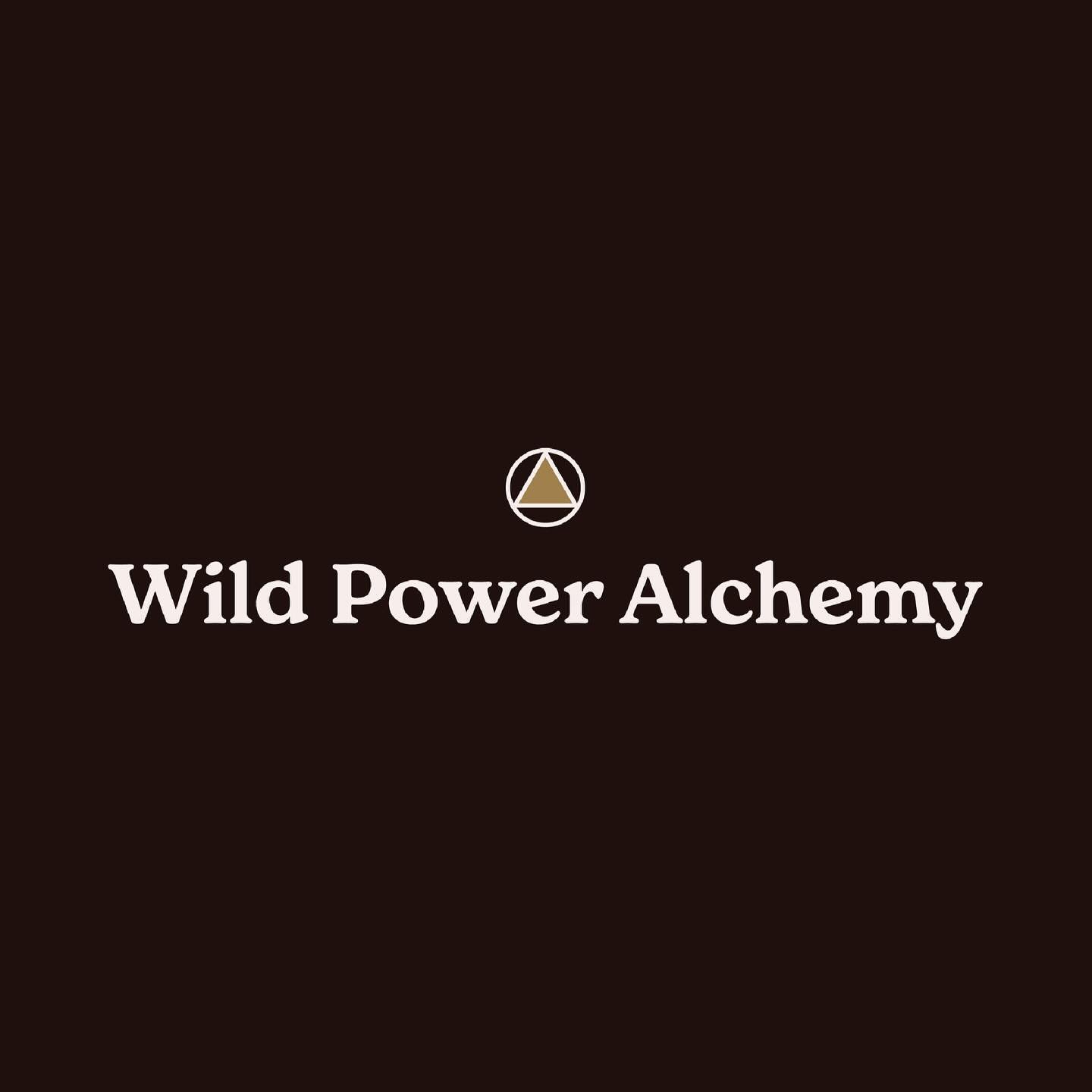 Logo suite for the Wild Power Alchemy rebrand 🔥 
.
.
.
#logo #logodesign #logodesigner #logos #branding #branddesigner #brandidentity #brandidentitydesign #logomark #clean #cleandesign