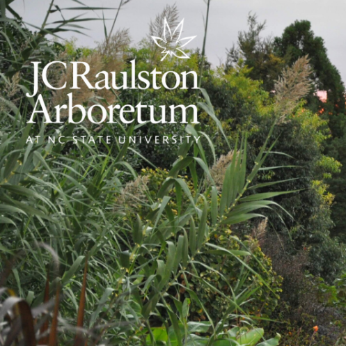 Conference Registration