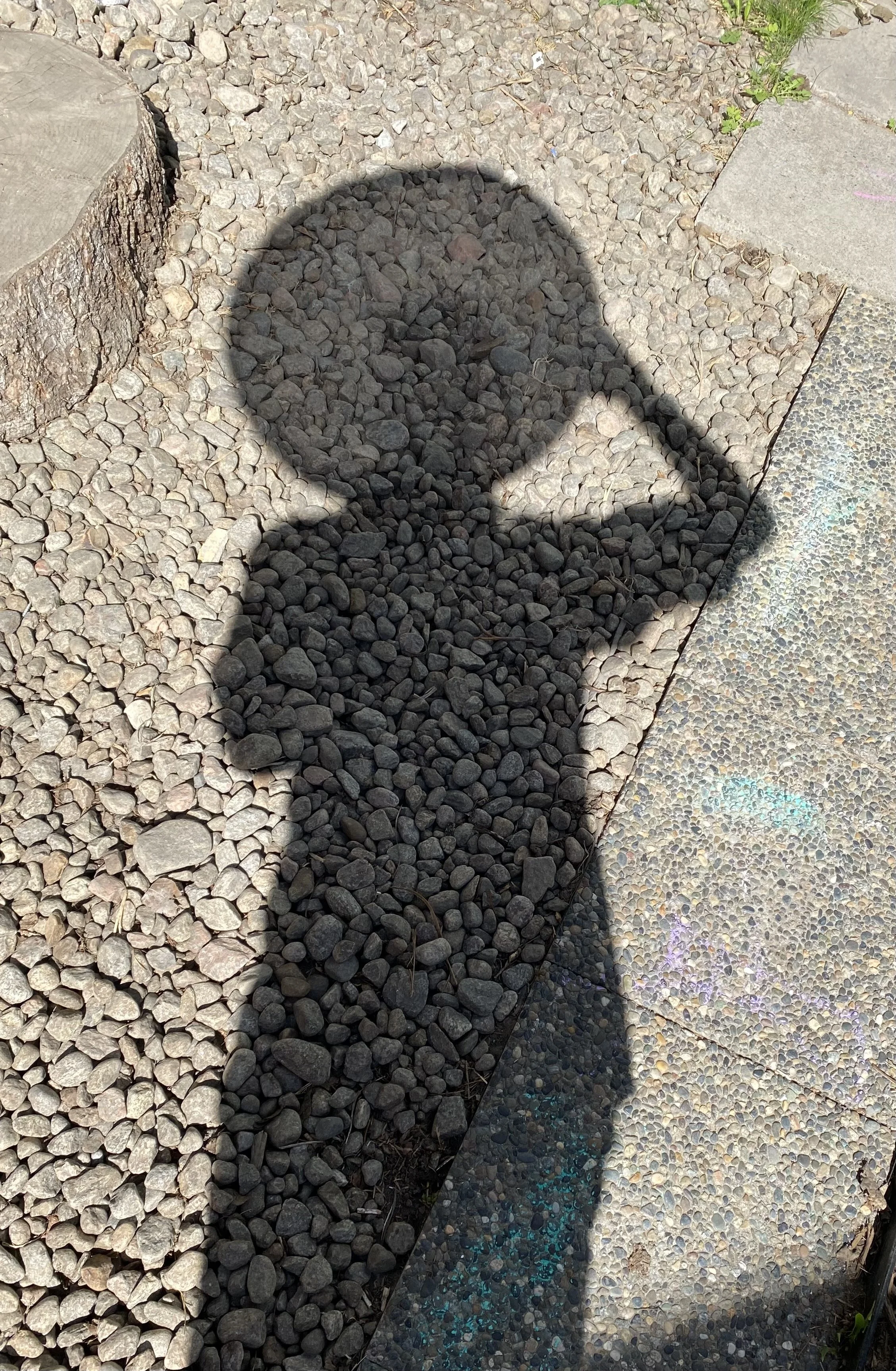 IMG_4316.jpeg