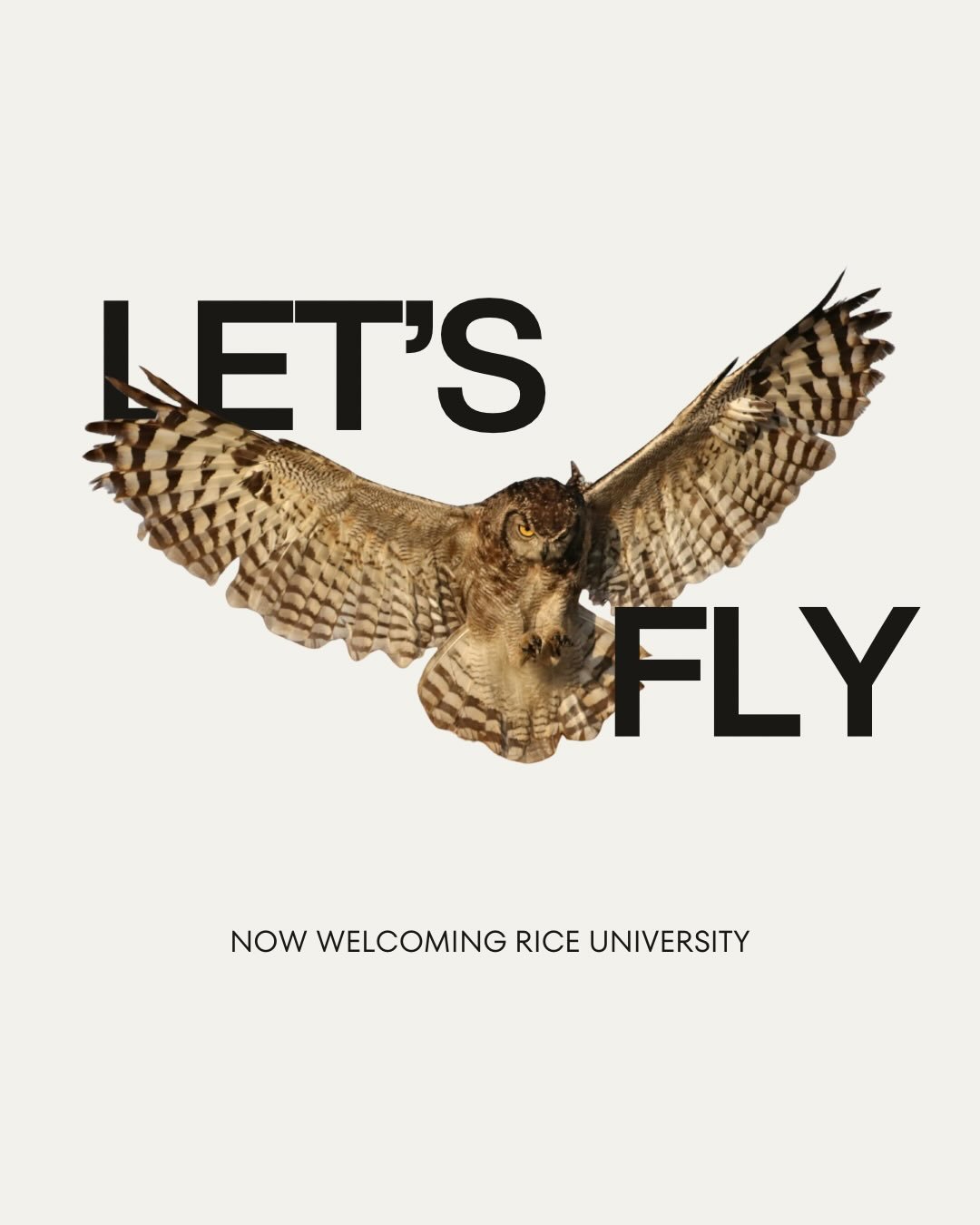 Hellooooo @ifyourereadingthisriceu ! The Owls have officially joined the party 🦉