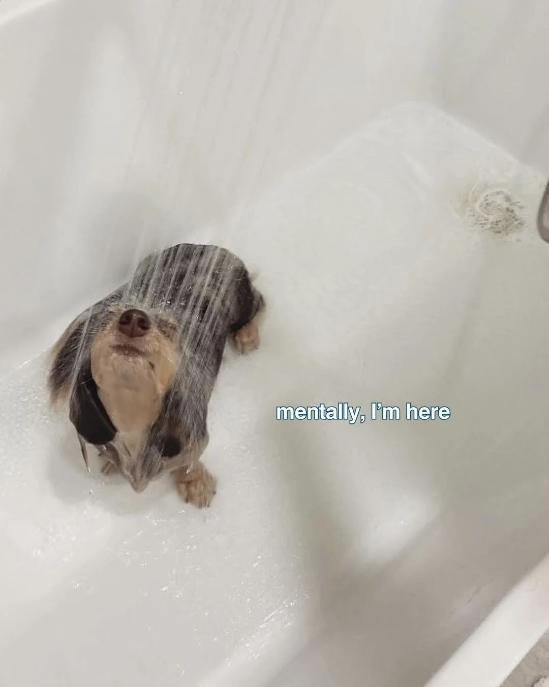 everybody has those days