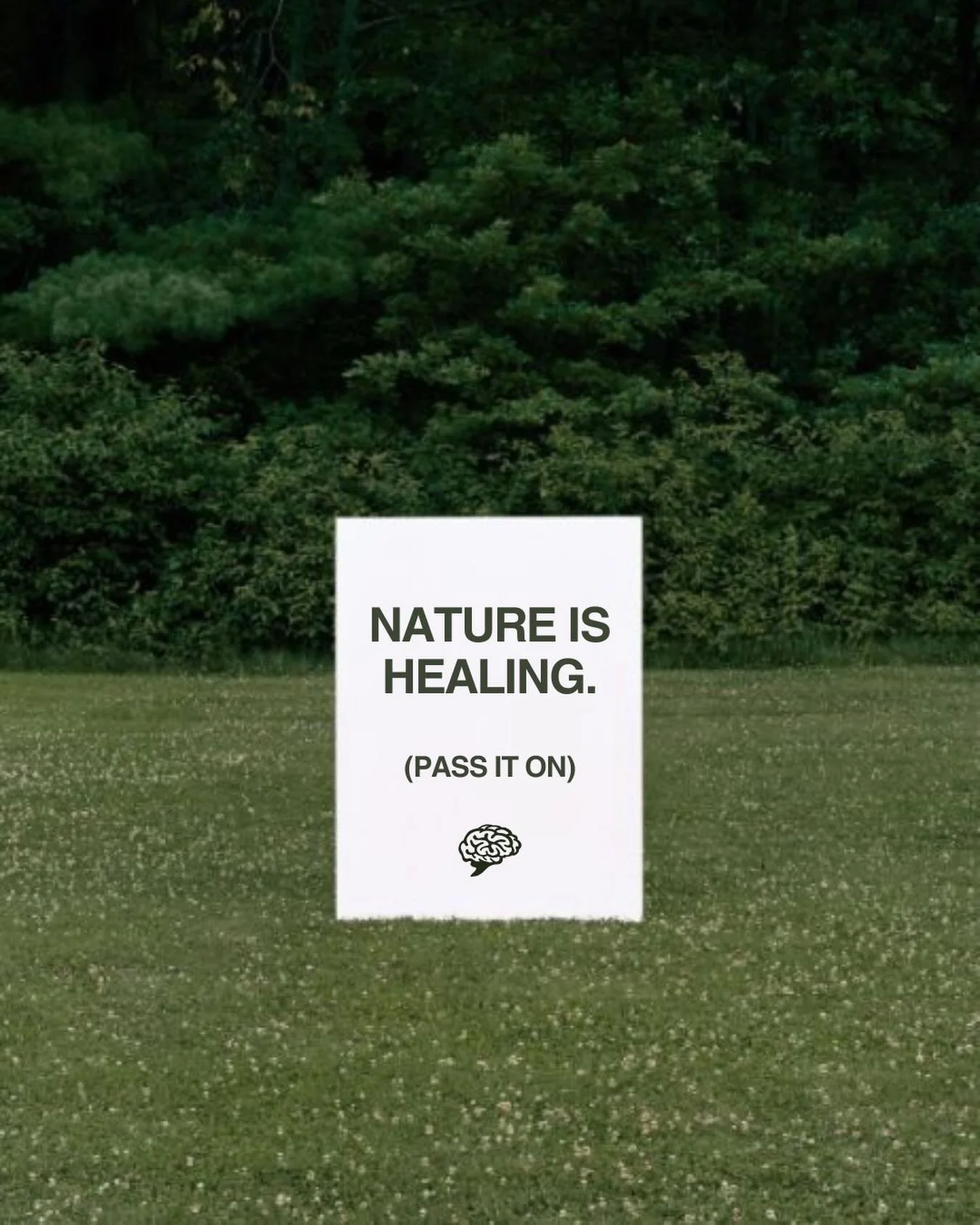 IT&rsquo;S UNWIND YOUR MIND WEEK 🪴💚🐢 All week long our our national organization &amp; campus chapters will celebrate the art of unwinding 😌

Join us on IG Live tonight at 5 PM ET as we get the week started with a virtual Mindful Movement session