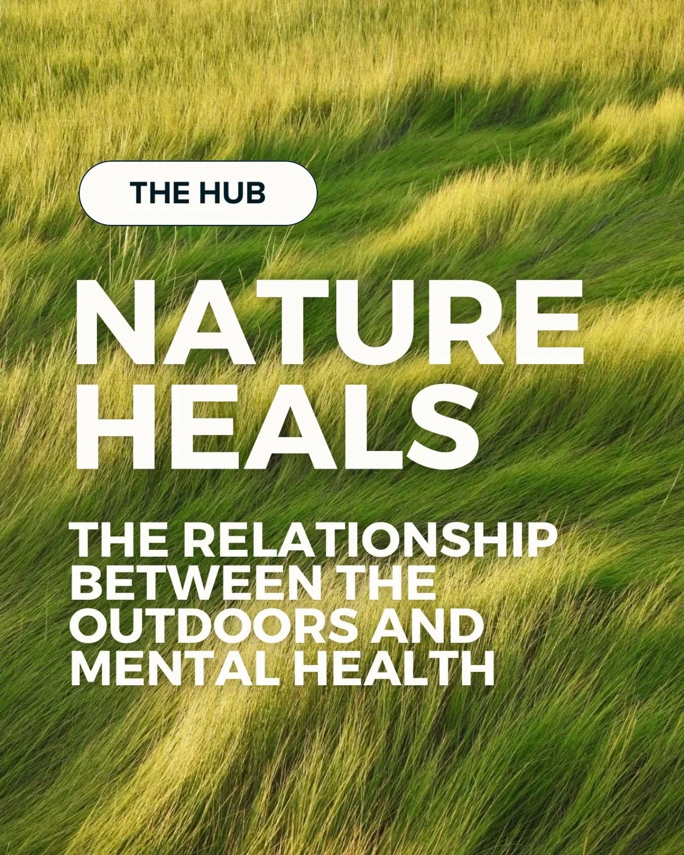 did you know that nature has a real impact on mental health? We weren&rsquo;t kidding around.... head to our website to learn why you should get outside and read our newest hub article highlighting the research showing nature really does heal🌲 

Aut