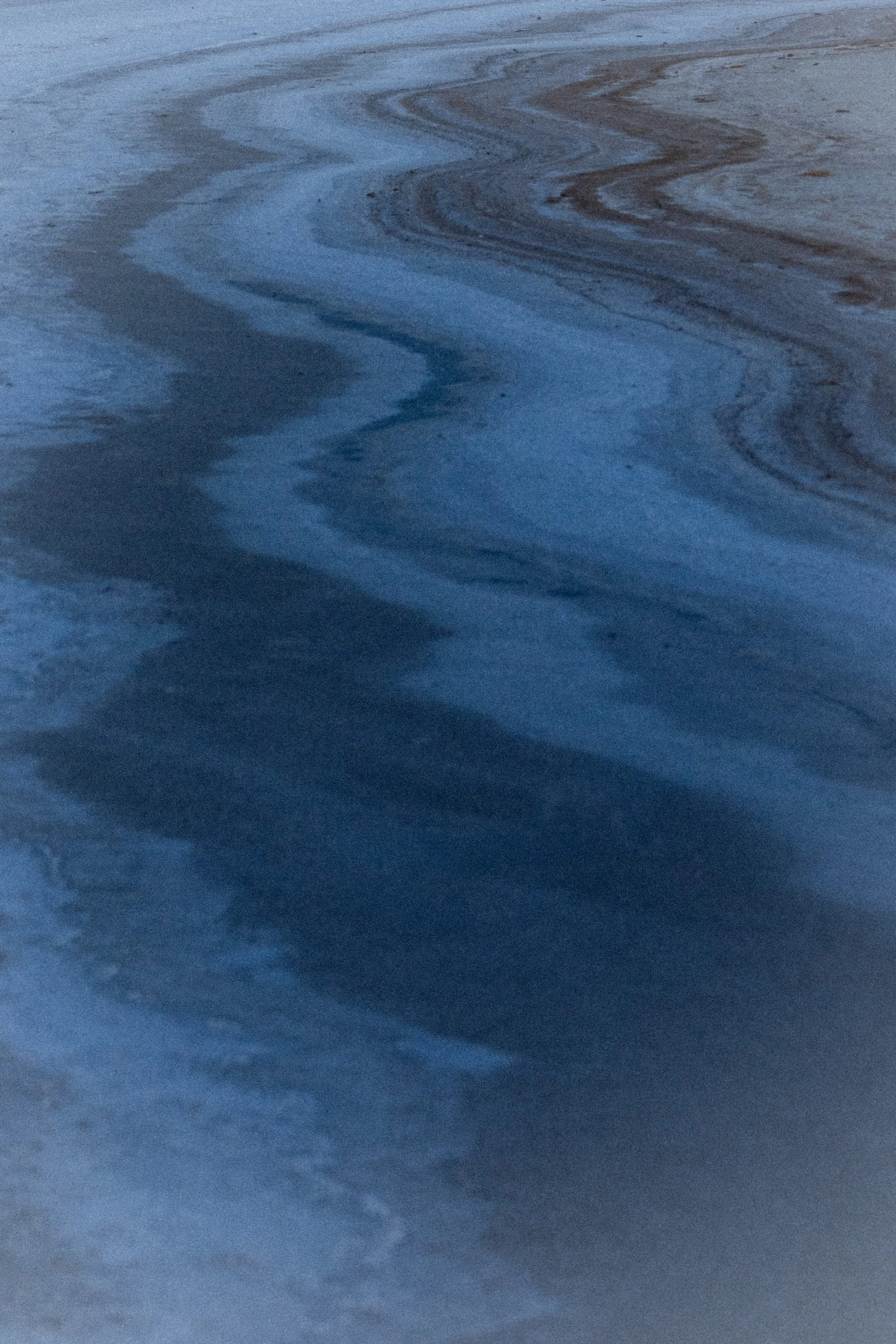 DSC01364.jpg