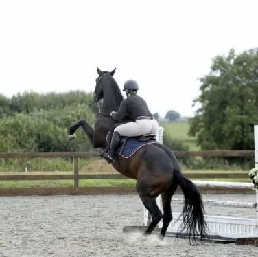 Basic Problem Solving Package