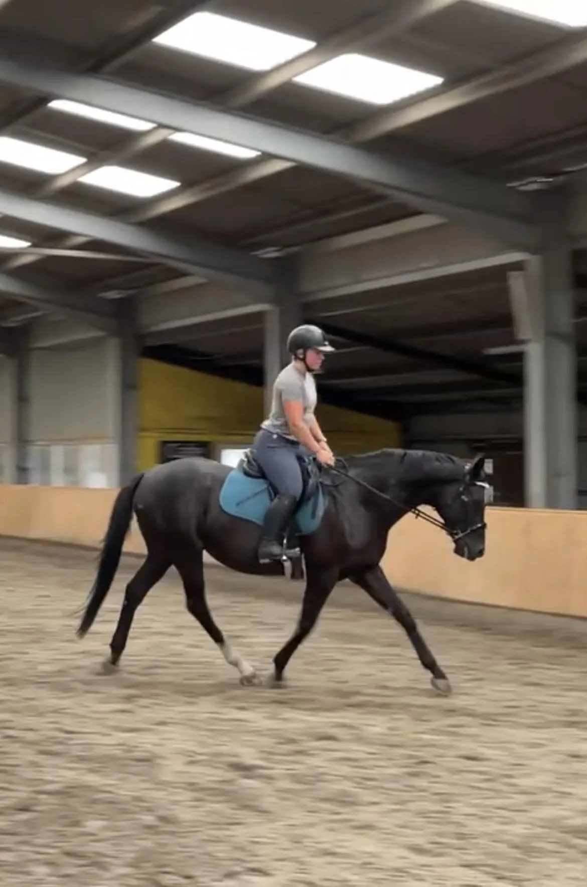 Bridget re-training OTTB Onyx