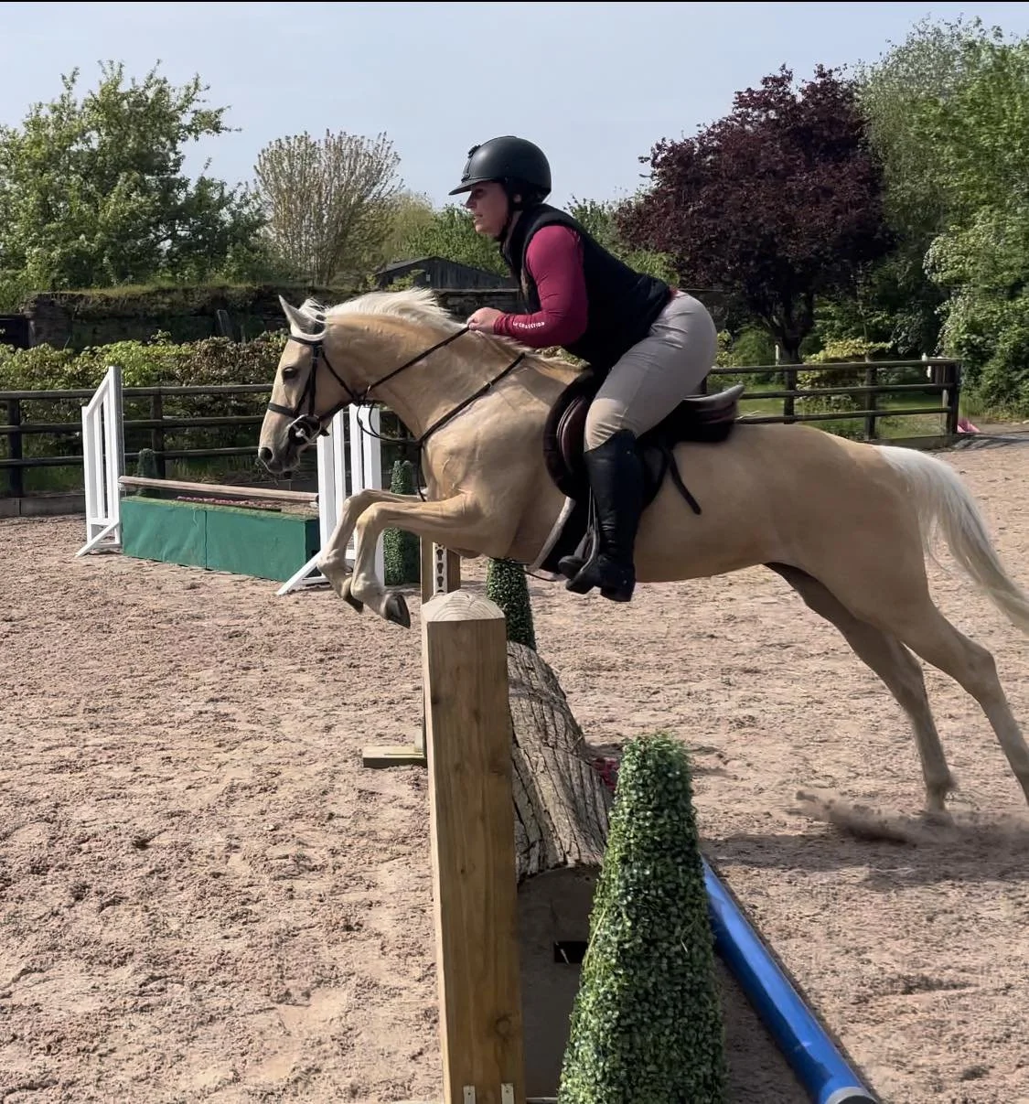 Bridget helping import hunter prospects from the UK to the USA - Bubbles