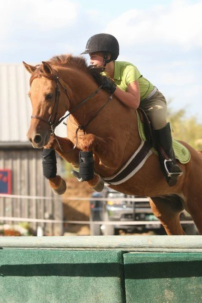 Ginger - The wonder pony that started it all